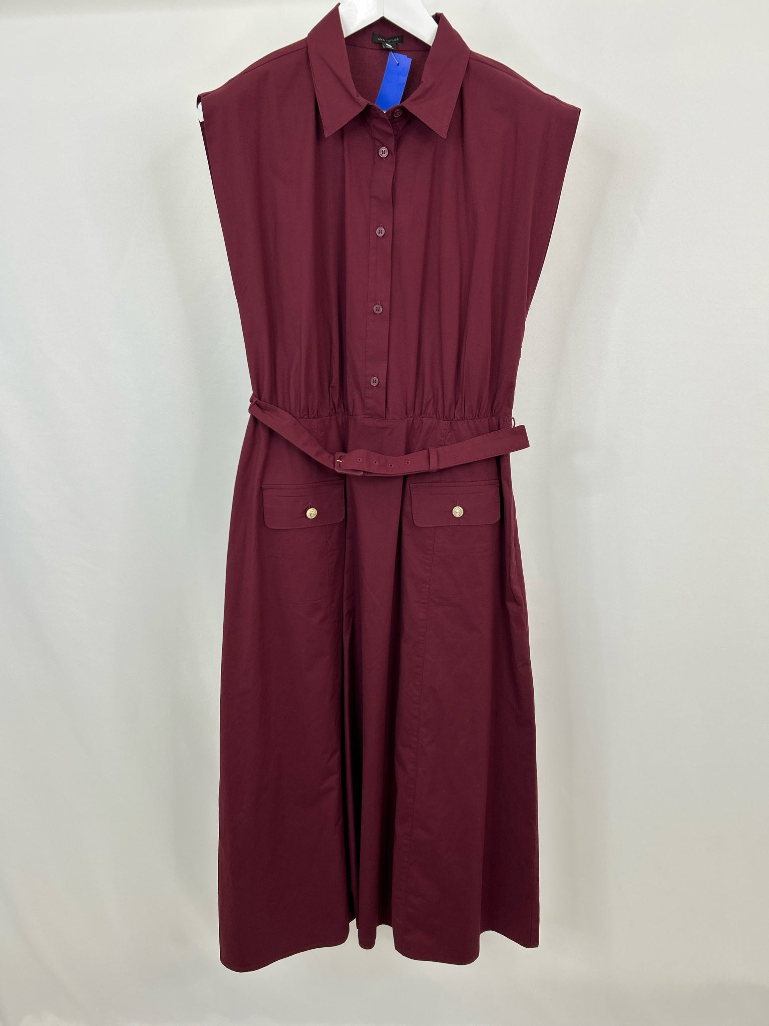 ANN TAYLOR Size 10 Burgundy Women Dress
