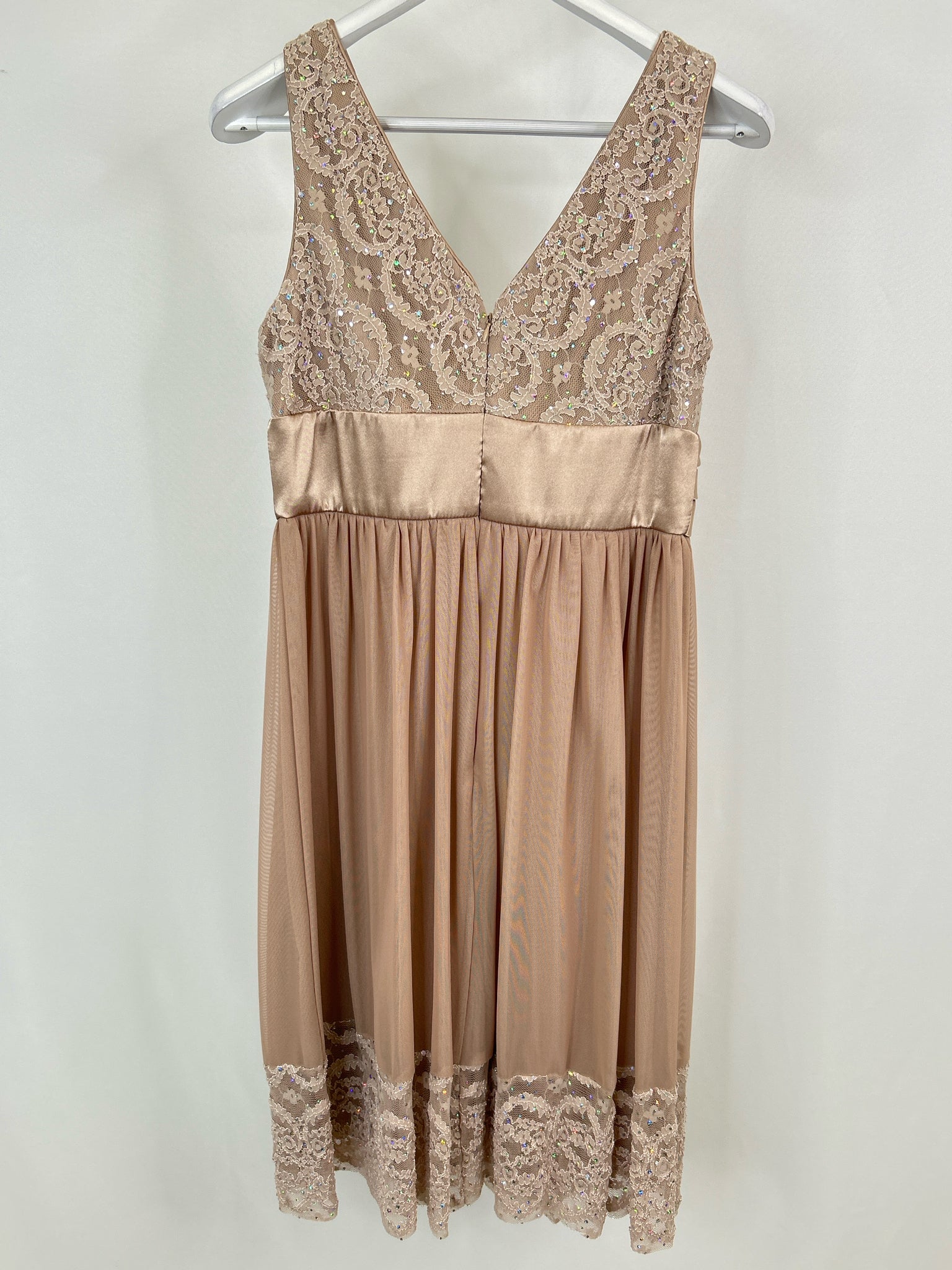 R & M RICHARDS Size 12 Champagne Women Dress