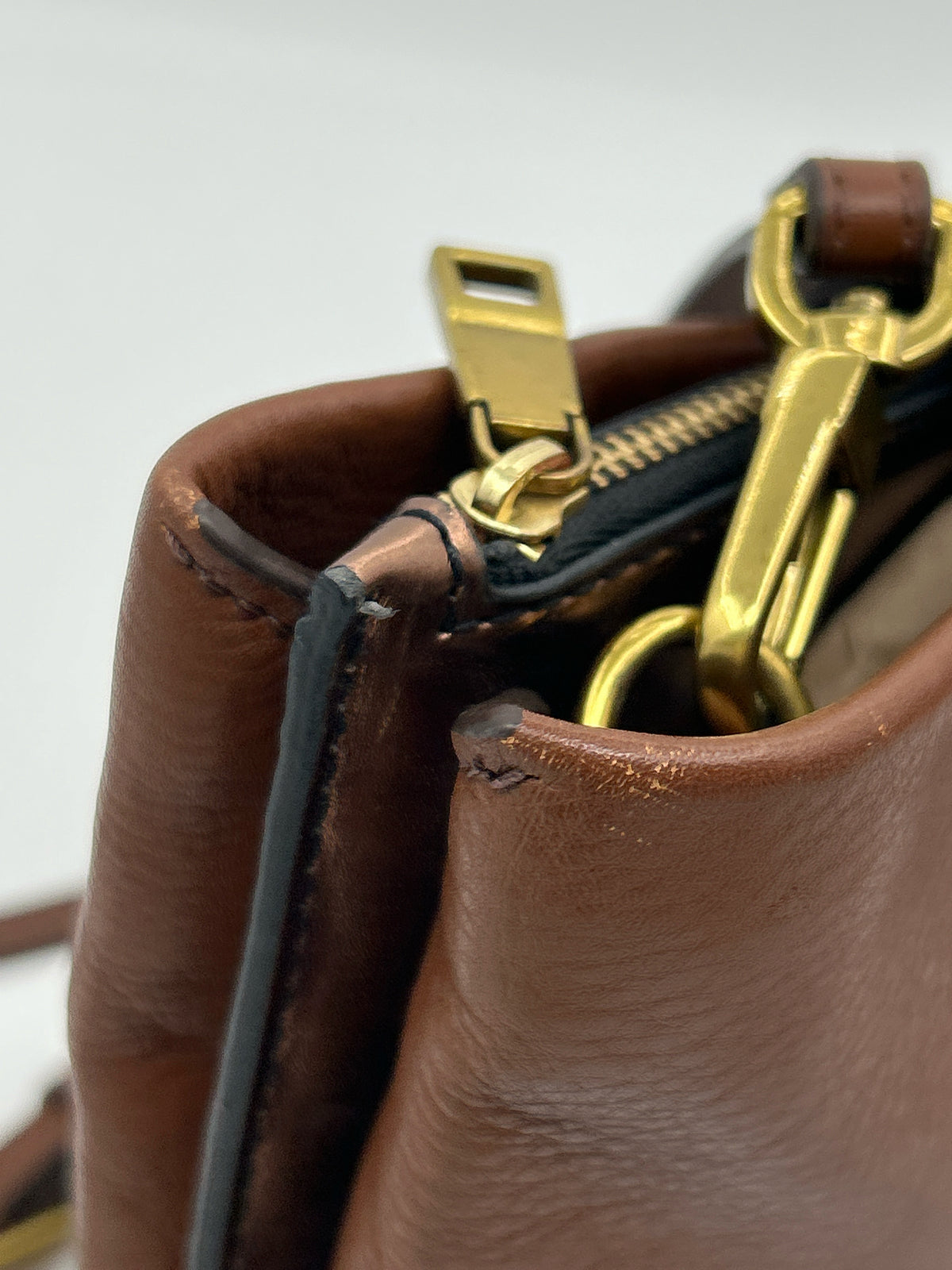 FOSSIL Brown Women Purse