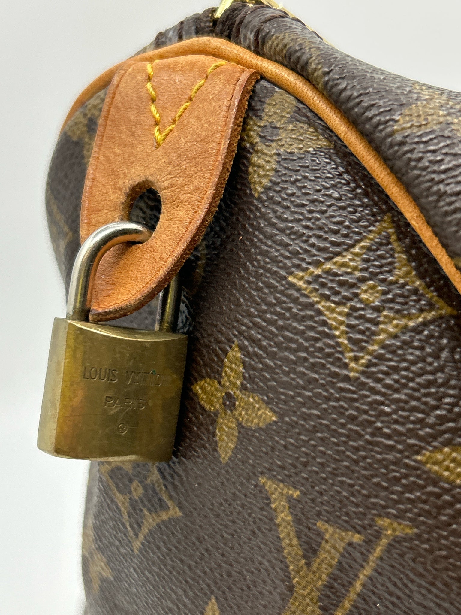 LOUIS VUITTON Brown Speedy 30 Women Purse