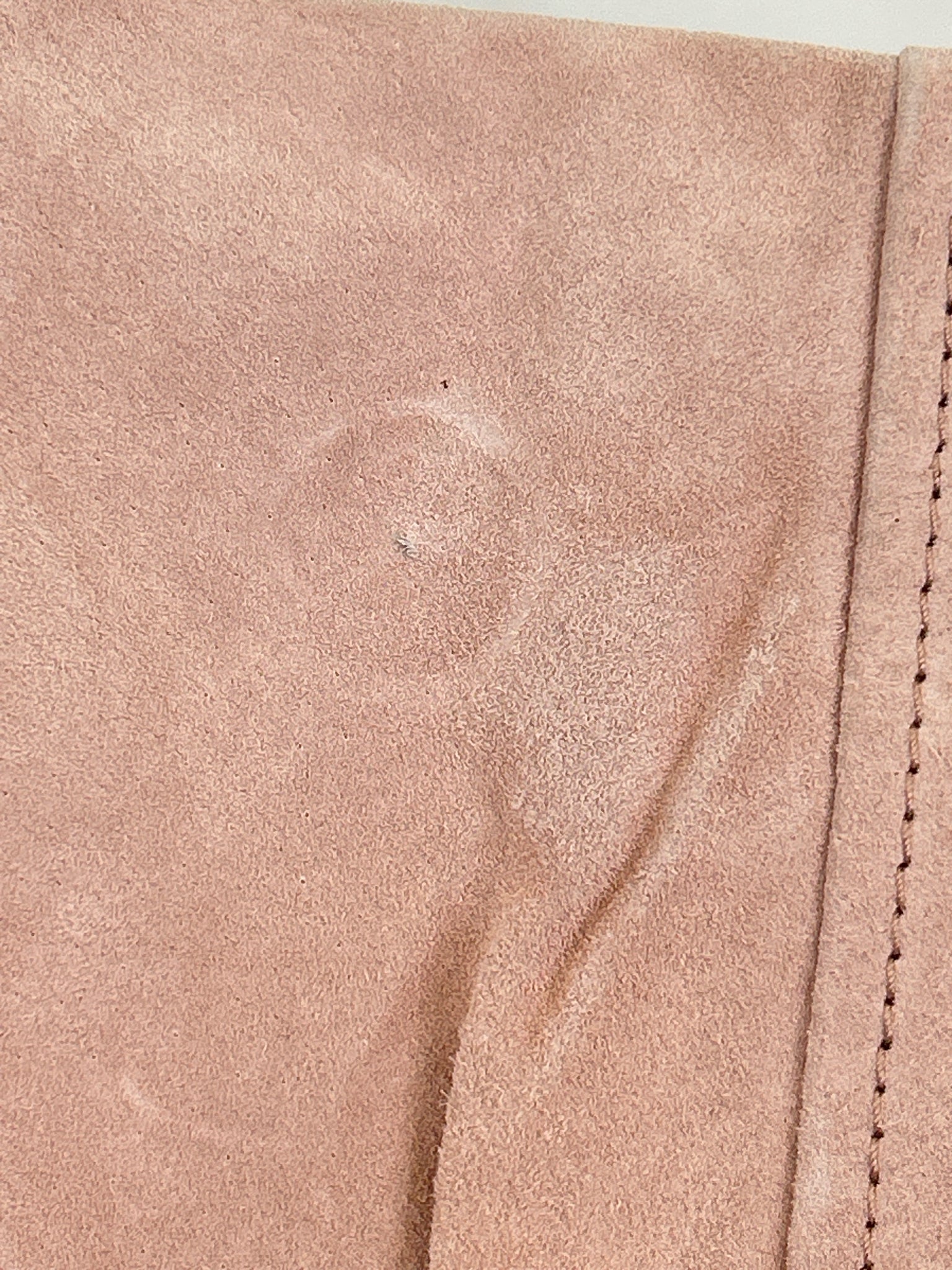 BLANK NYC Size 8/29 Pink Women Skirt NWT