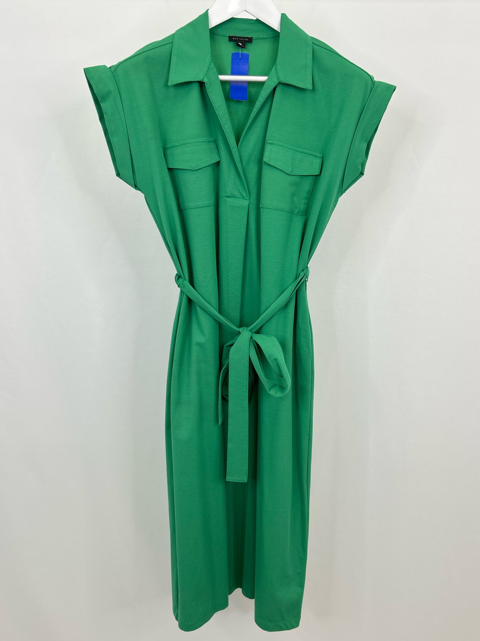 ANN TAYLOR Size M Green Women Dress