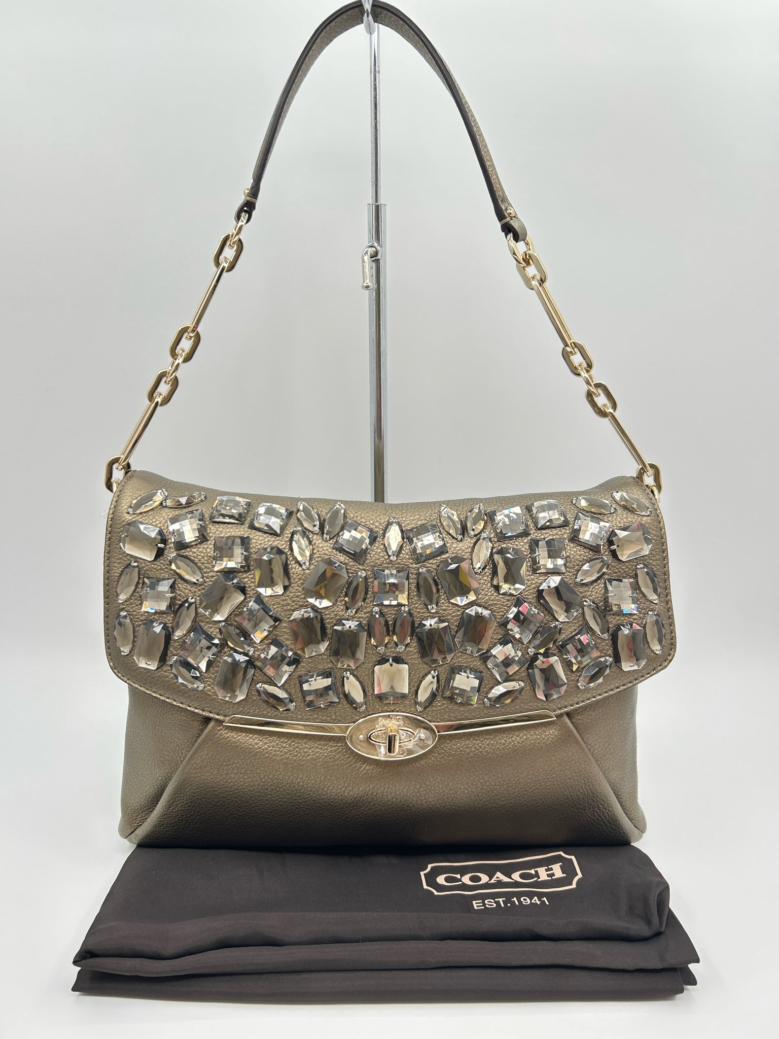 Coach BRONZE Women Purse