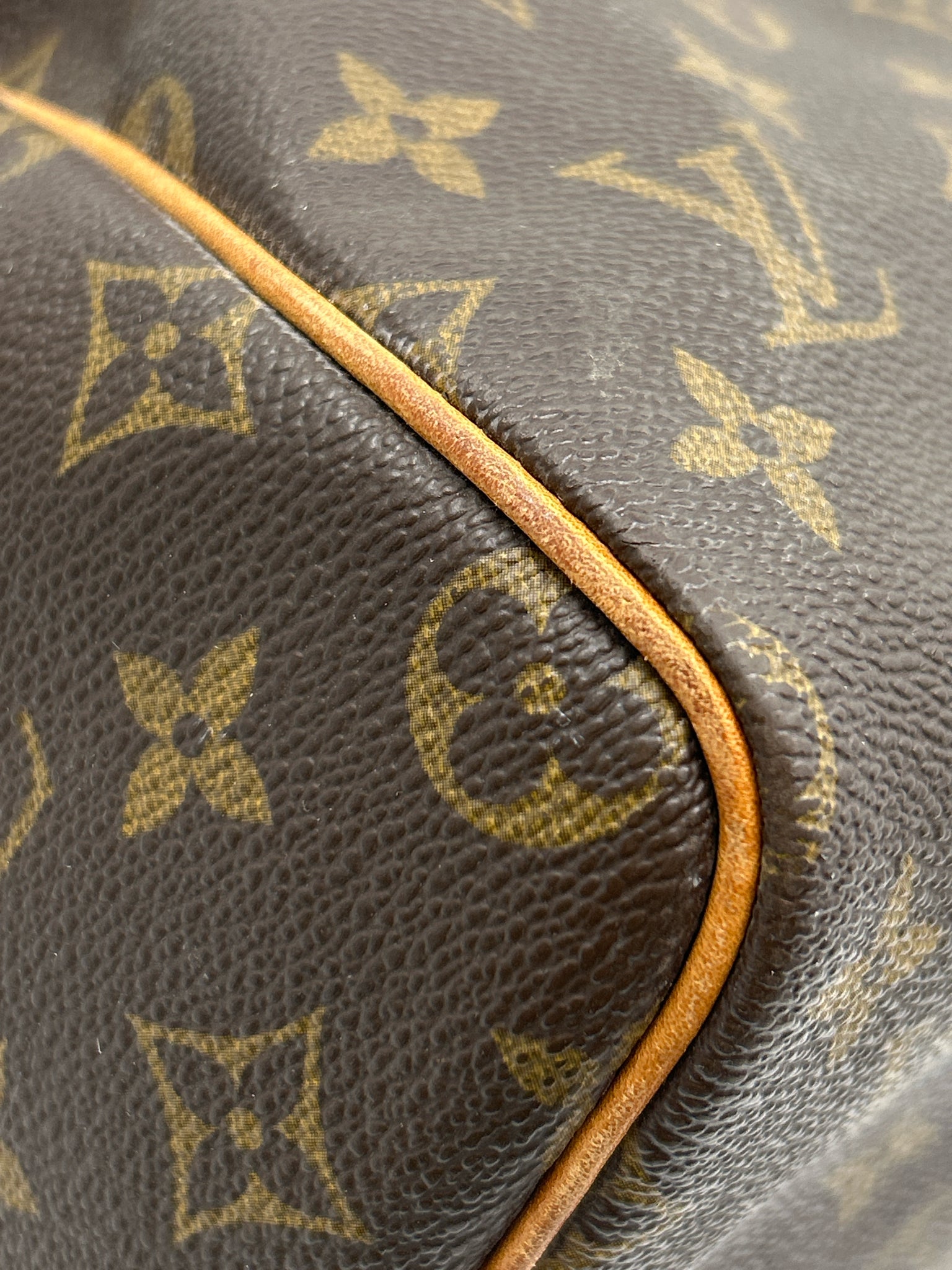 LOUIS VUITTON Brown Speedy 30 Women Purse