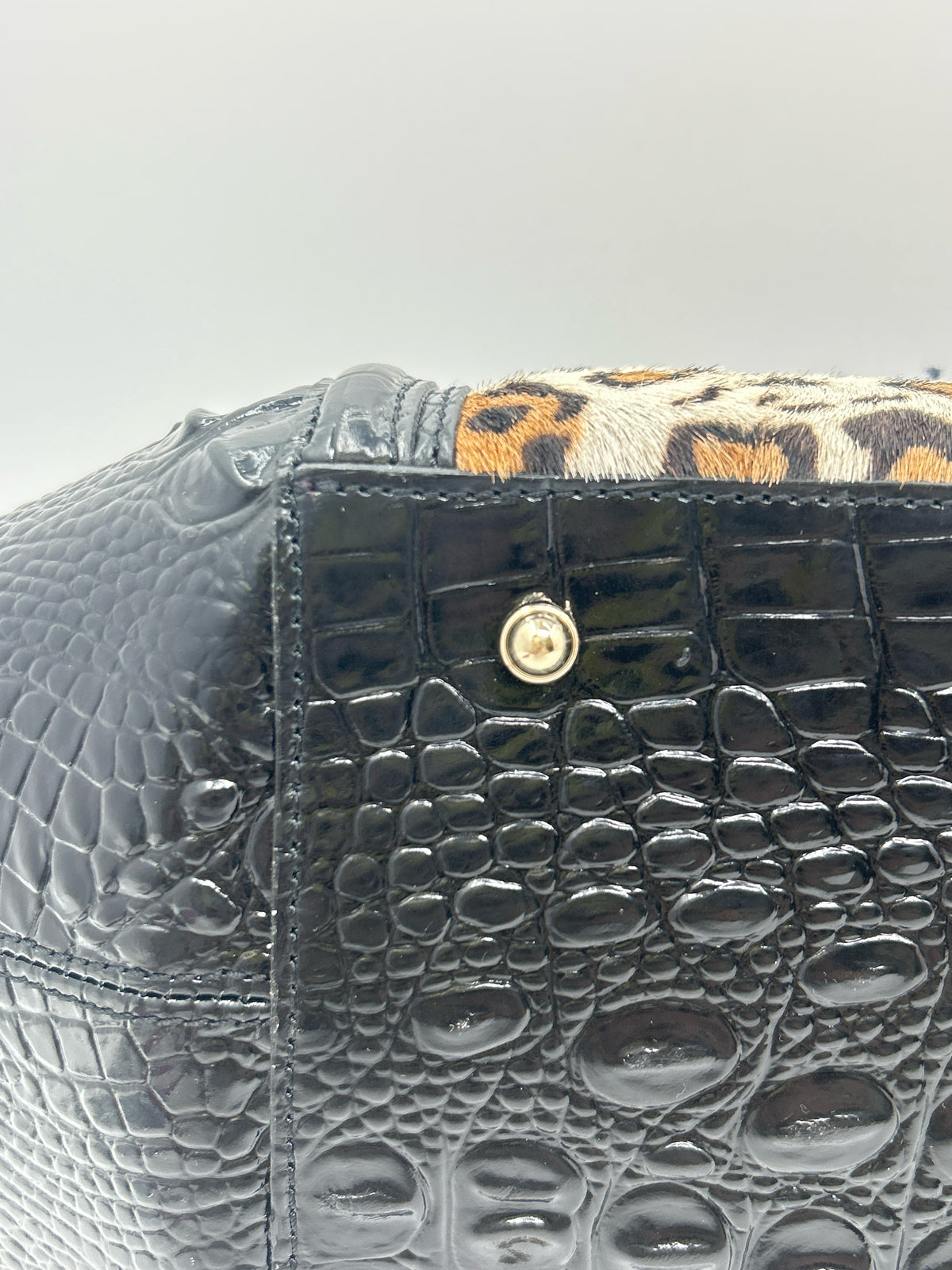 BRAHMIN Black & Beige Women Purse