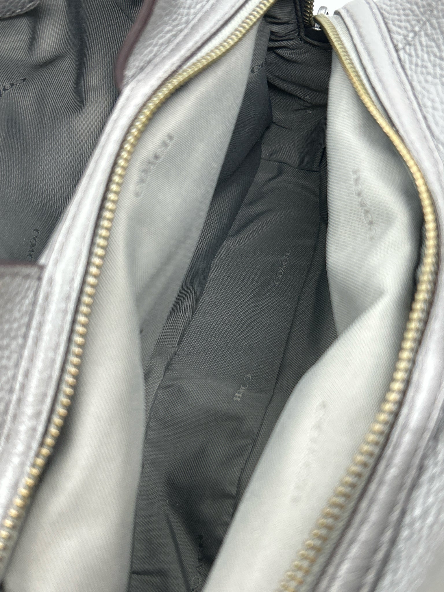 COACH Grey Women Purse