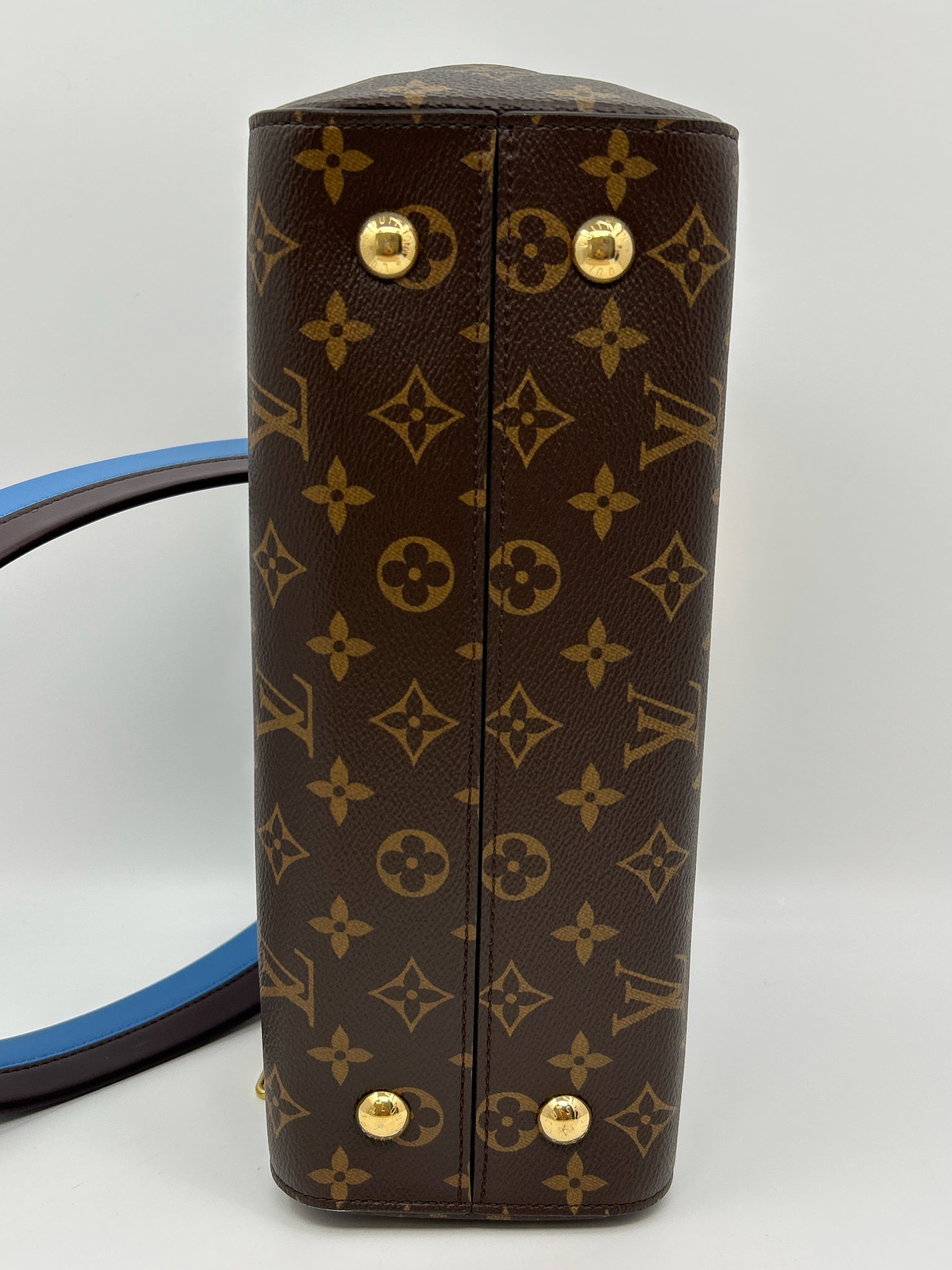 LOUIS VUITTON Cluny MM Brown Women Purse