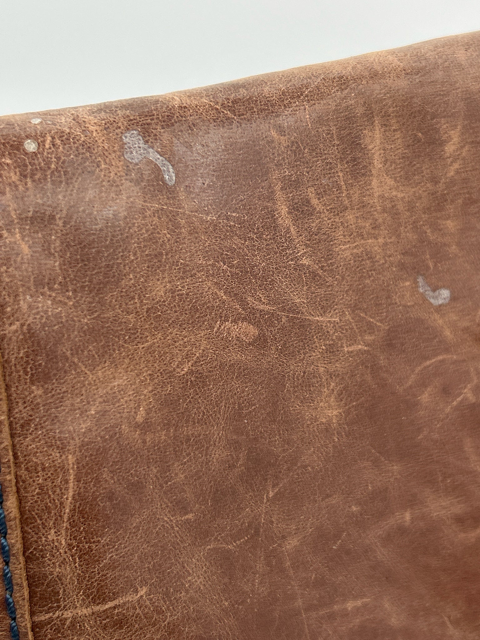 THE SAK Brown Women Backpack