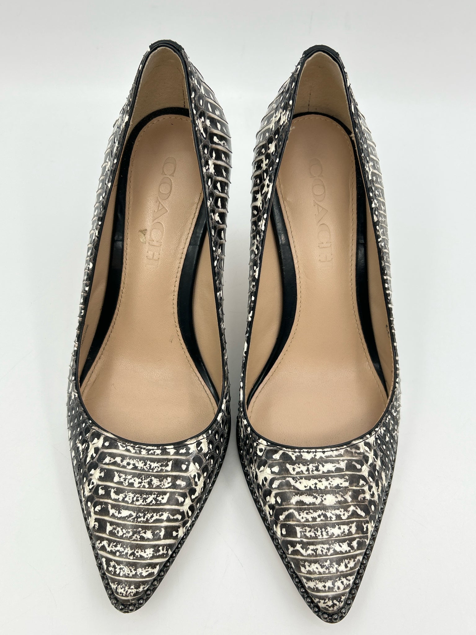 COACH Size 5.5B Brown Print Women Pumps