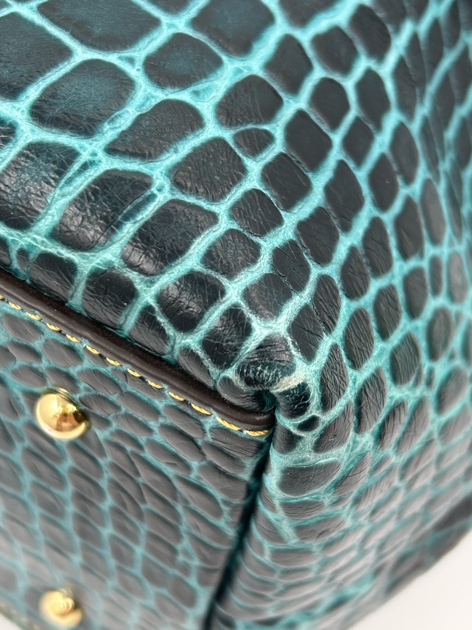 DOONEY & BOURKE TEAL AND BROWN Women Purse