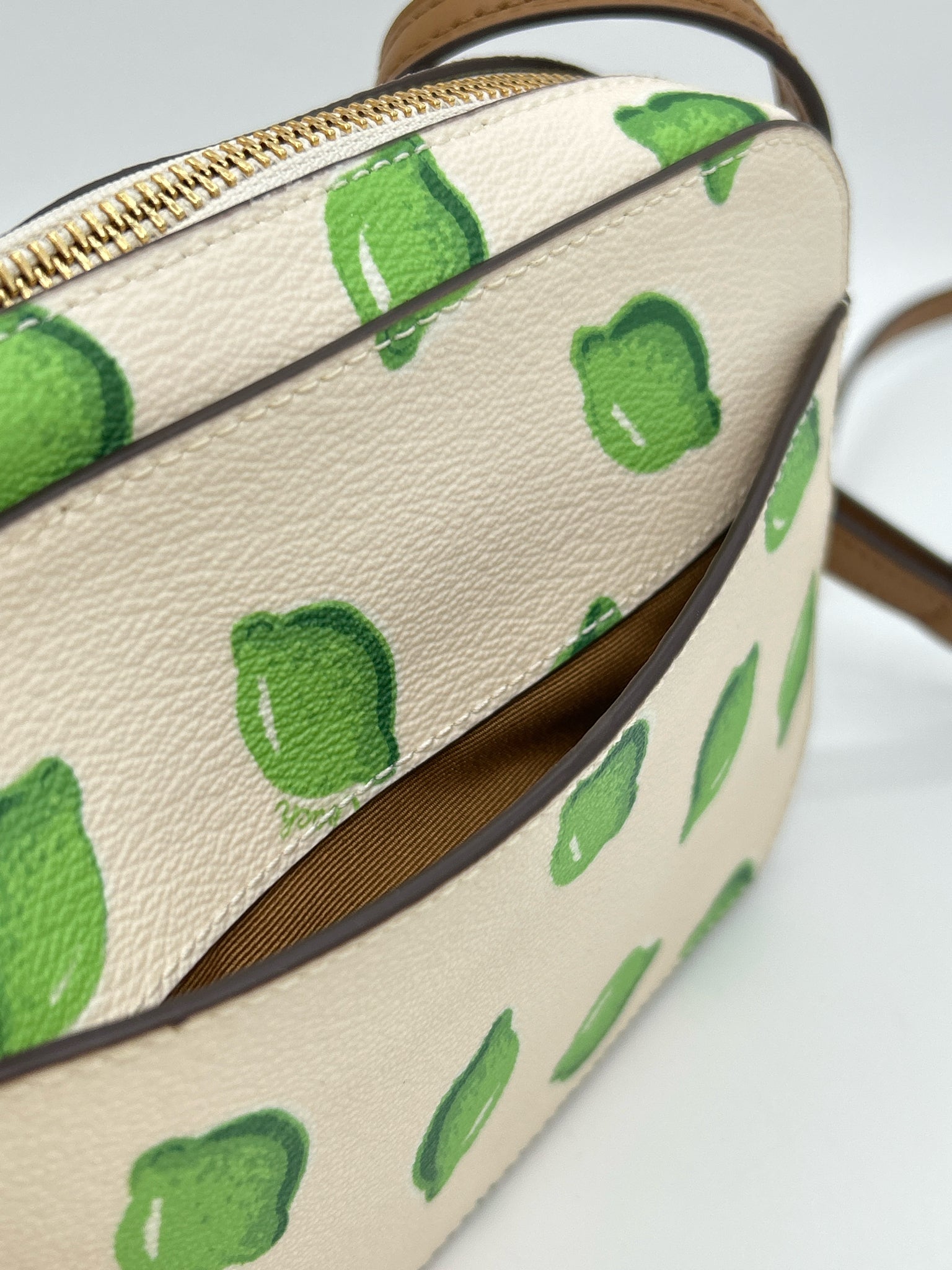 COACH White and Green Women Purse NWT