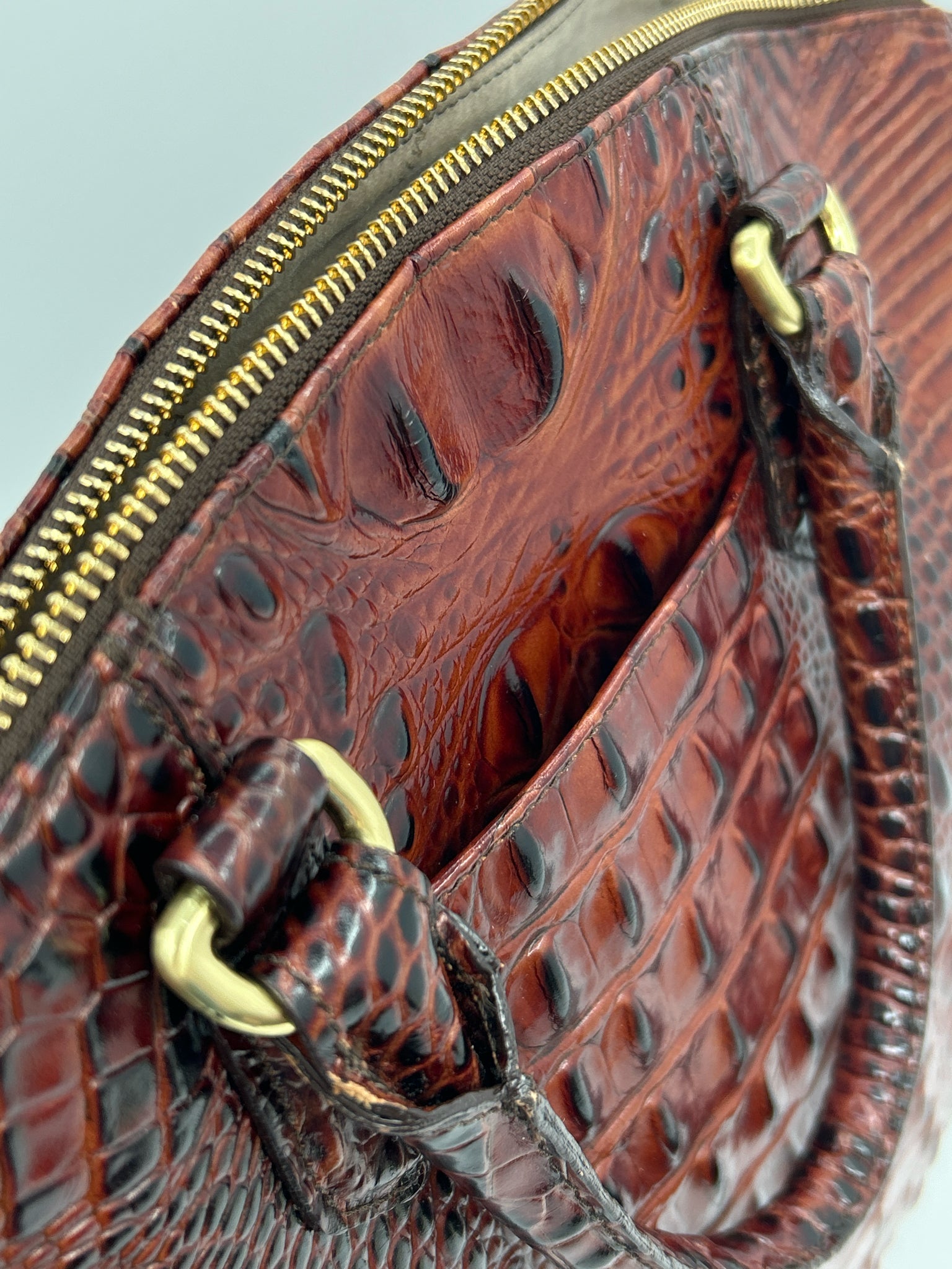 BRAHMIN PECAN Women Purse
