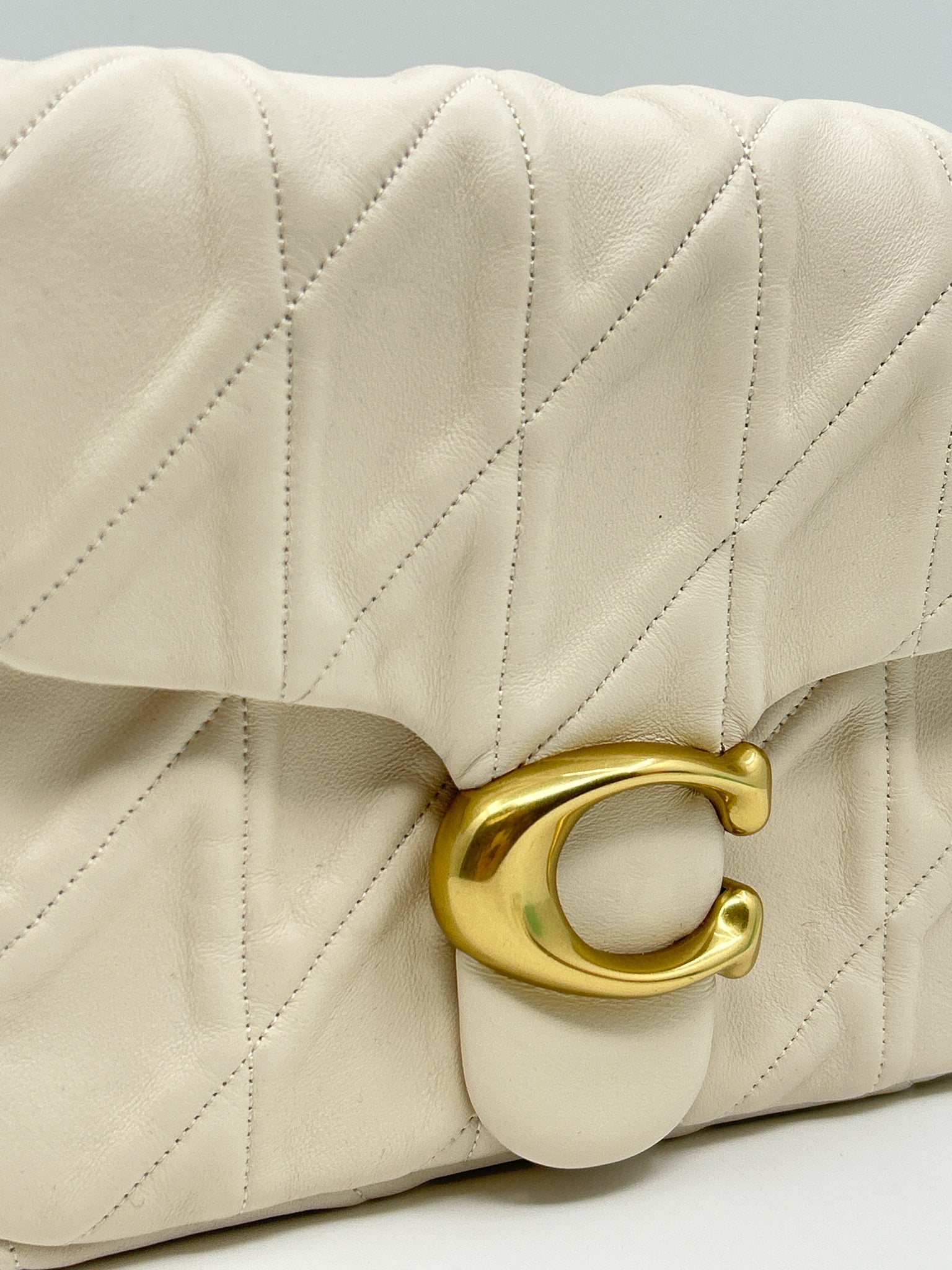 COACH Ivory Women Purse