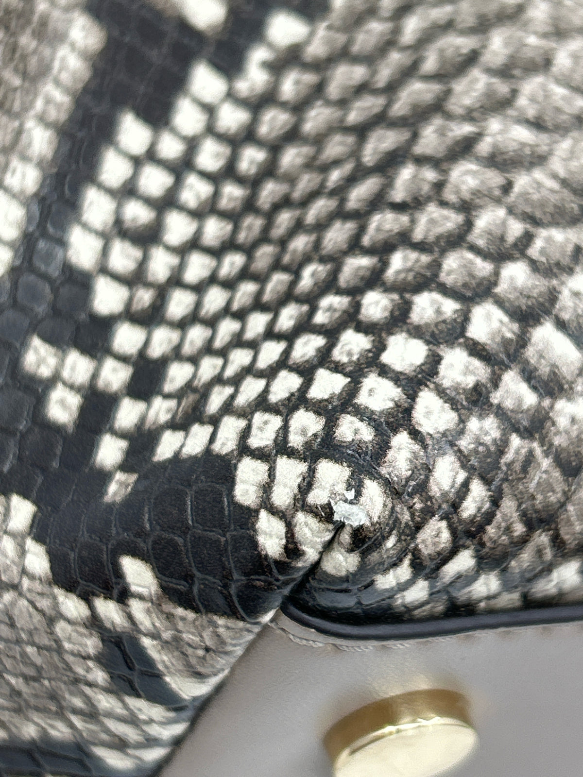 MICHAEL KORS Taupe and black Women Purse
