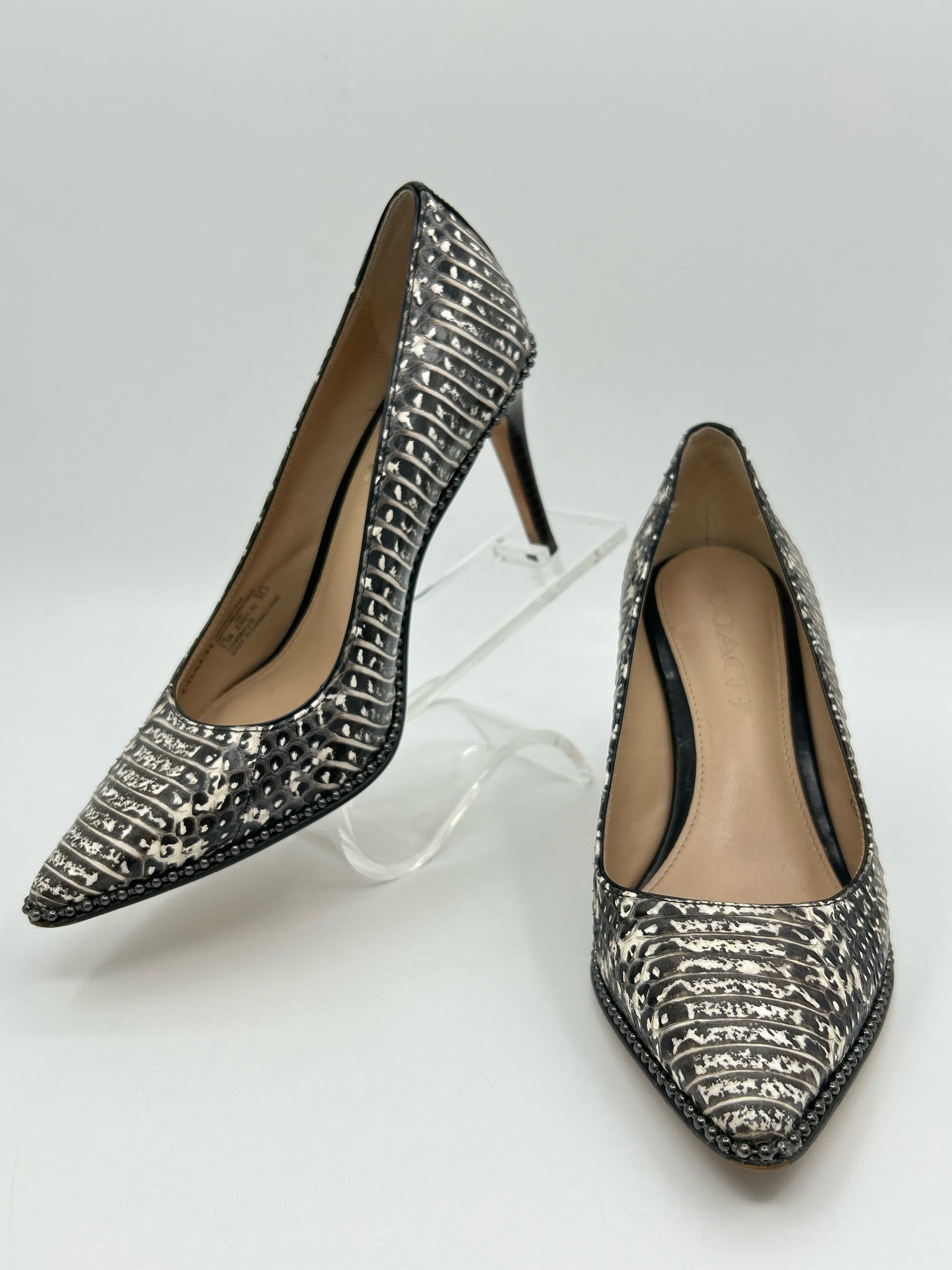 COACH Size 5.5B Brown Print Women Pumps
