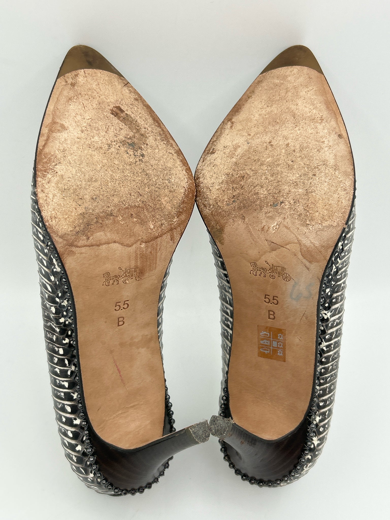 COACH Size 5.5B Brown Print Women Pumps