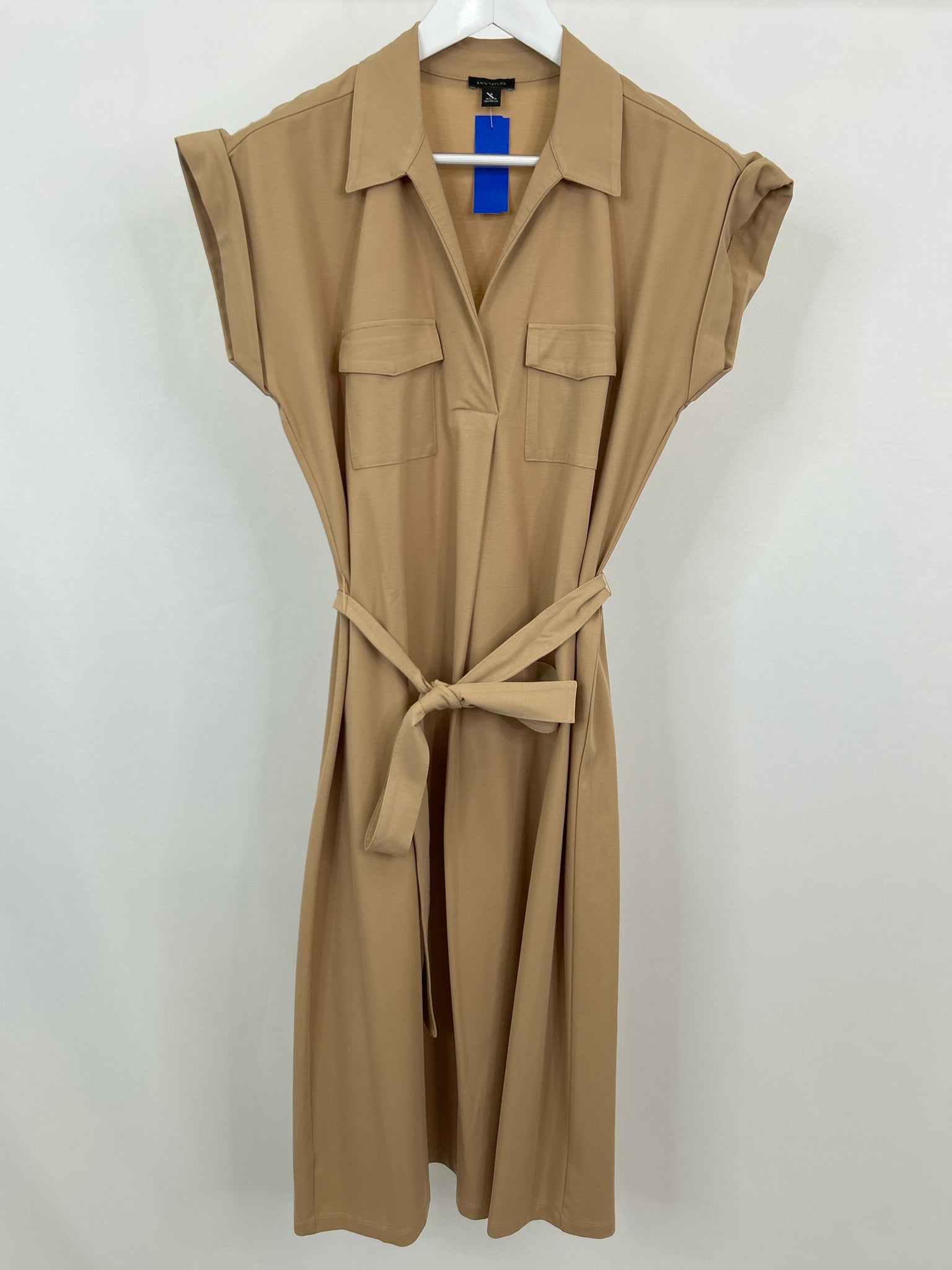 ANN TAYLOR Size M Light Brown Women Dress