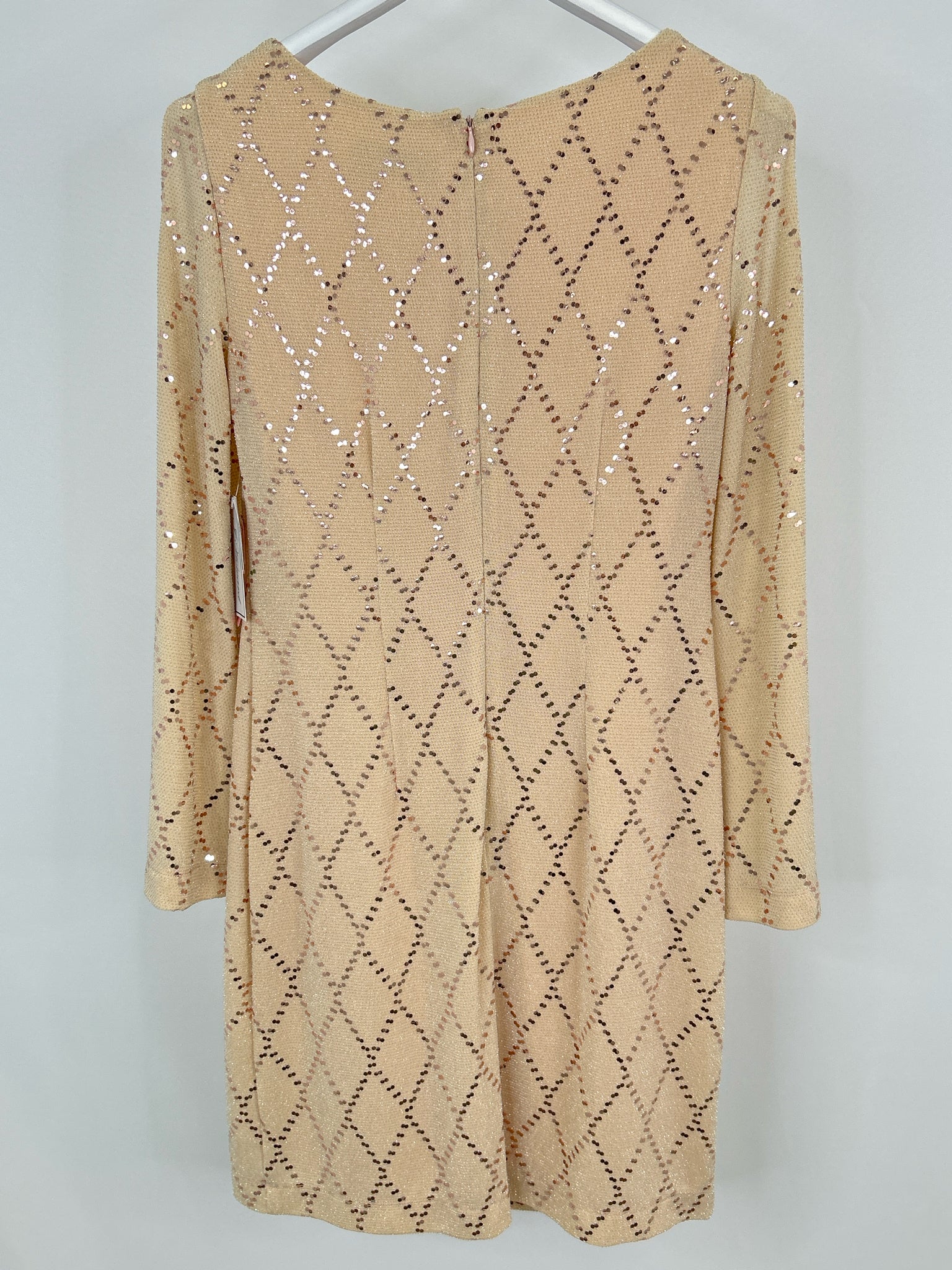 J Howard Size 8 Beige Women Dress NWT