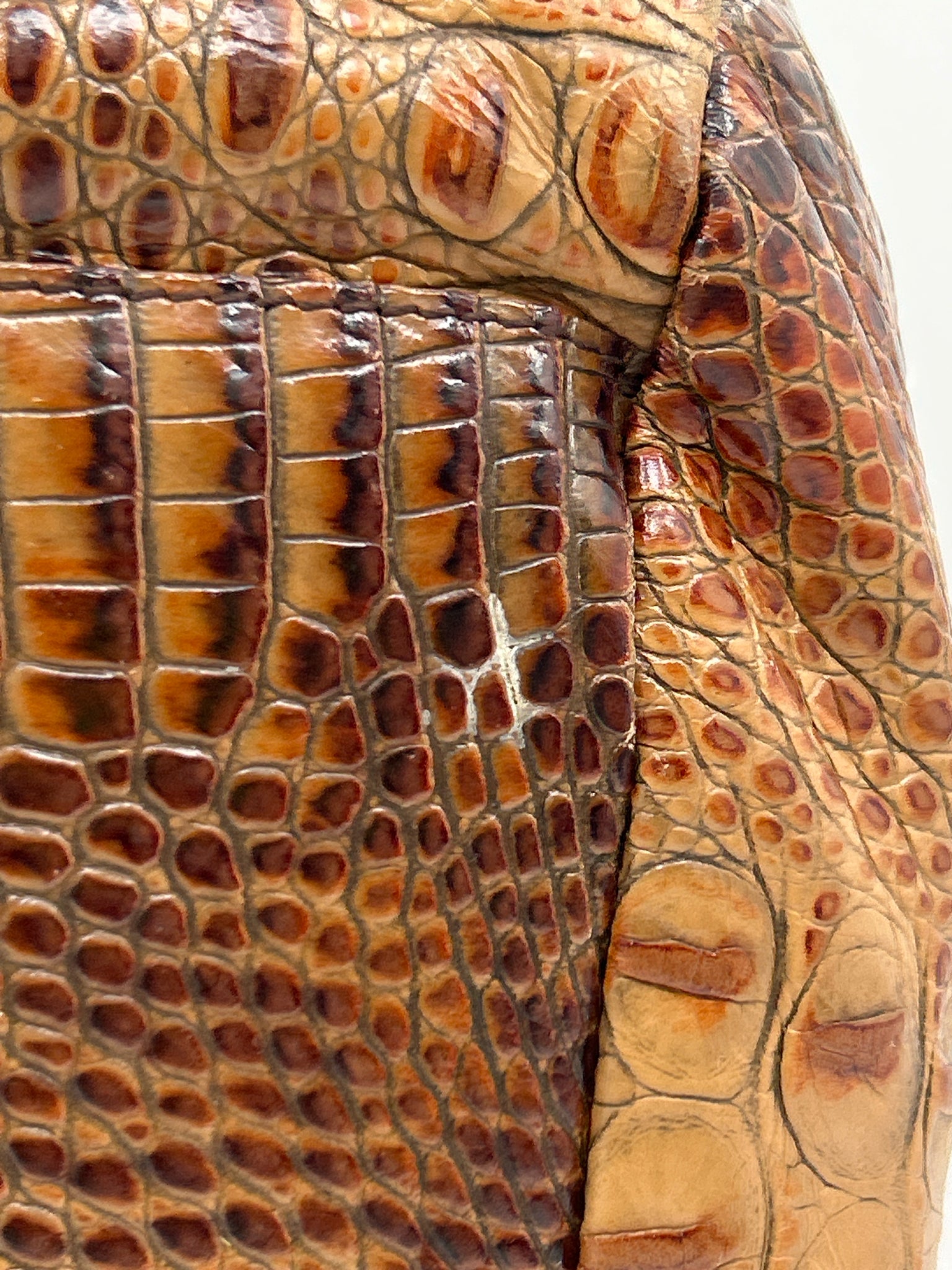 BRAHMIN Almond Brown Women Purse