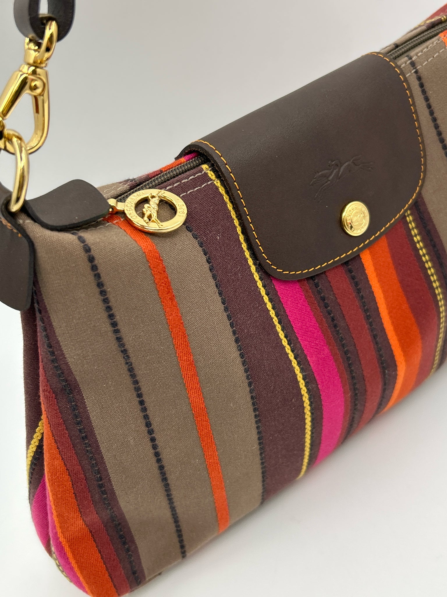 LONGCHAMP Brown Striped Women Purse