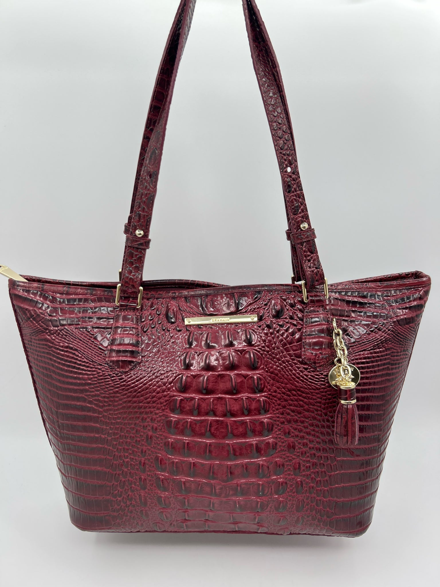 BRAHMIN FIG Women Tote
