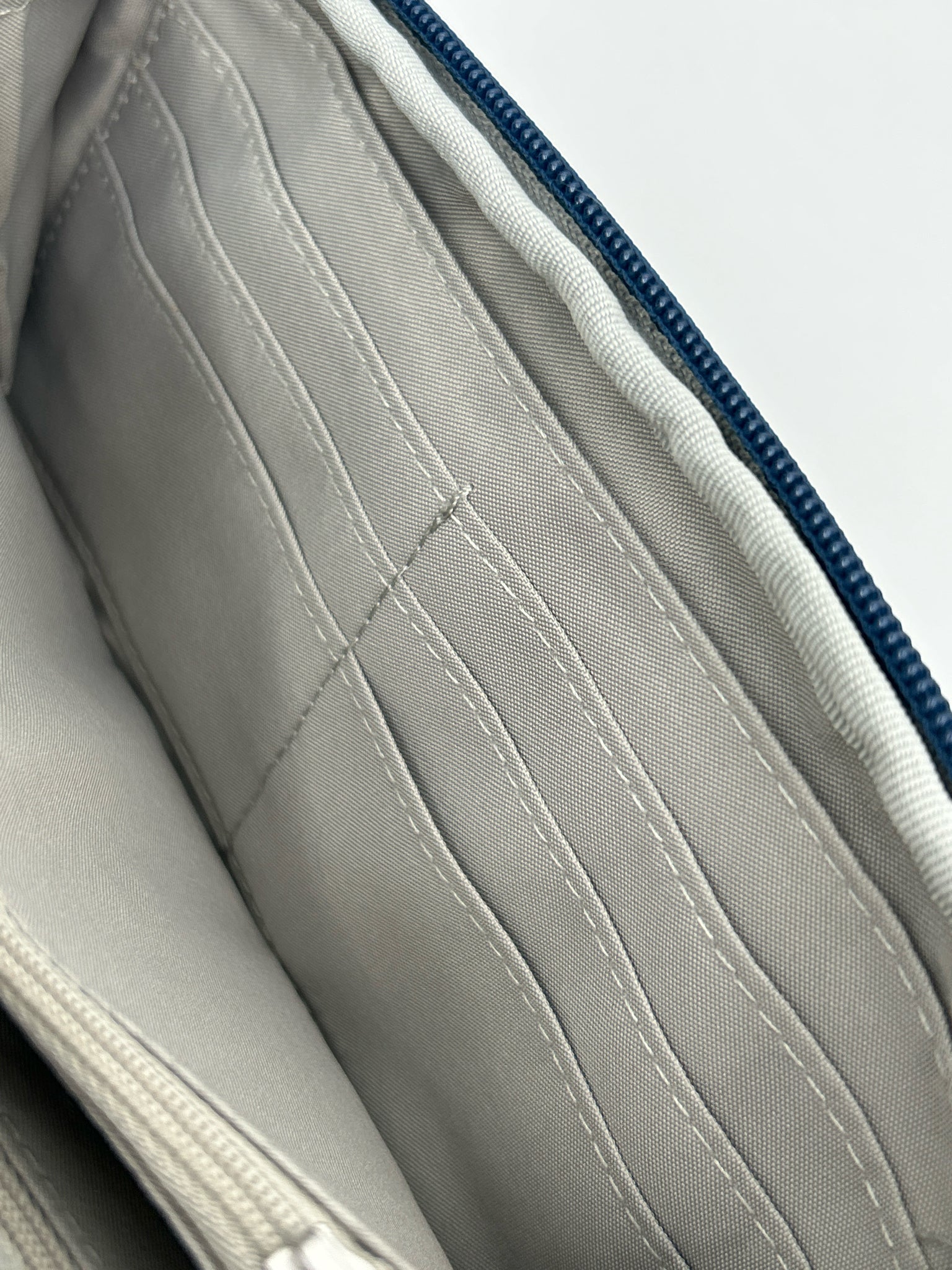 BAGGALLINI Blue Women Purse