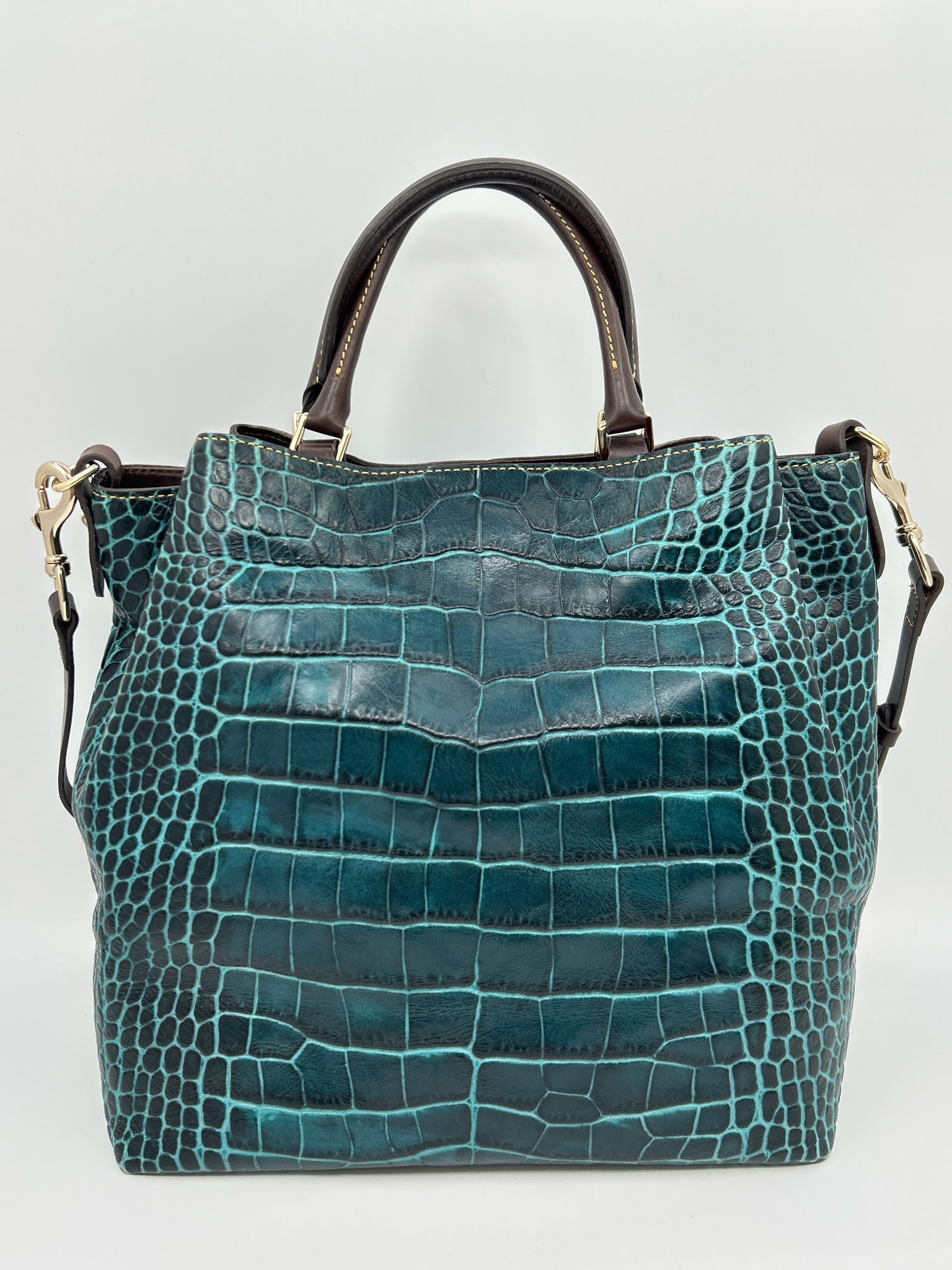 DOONEY & BOURKE TEAL AND BROWN Women Purse