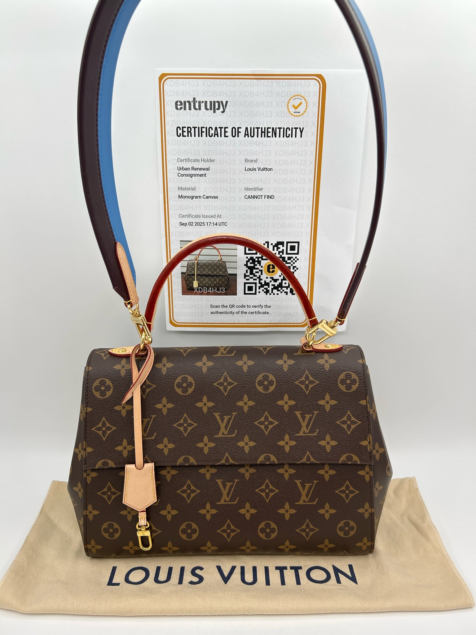 LOUIS VUITTON Cluny MM Brown Women Purse