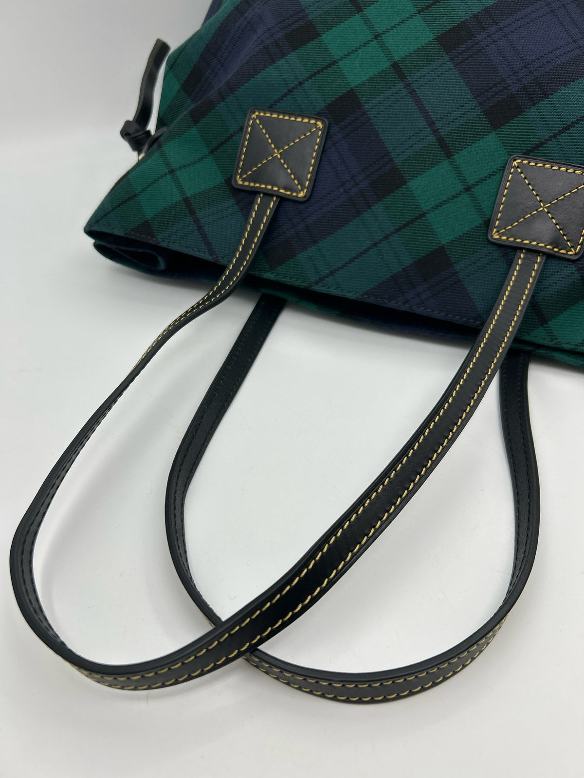 DOONEY & BOURKE Green and Blue Women Purse
