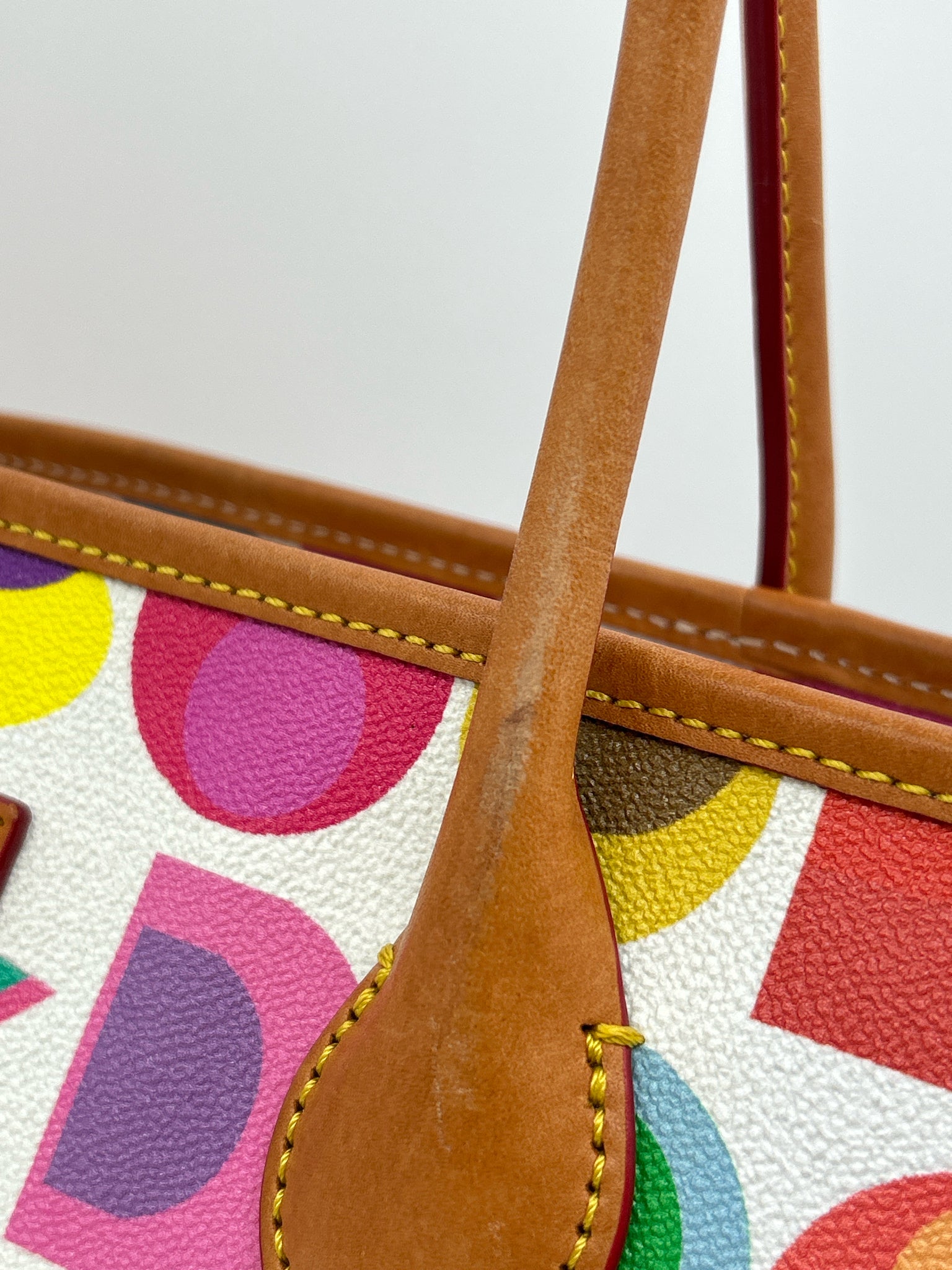 DOONEY & BOURKE Multi-Color Women Tote