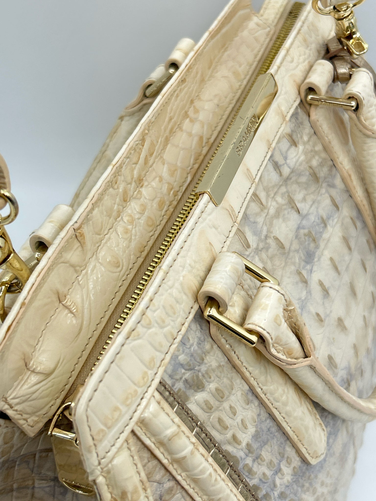 BRAHMIN Cream and Blue Women Purse