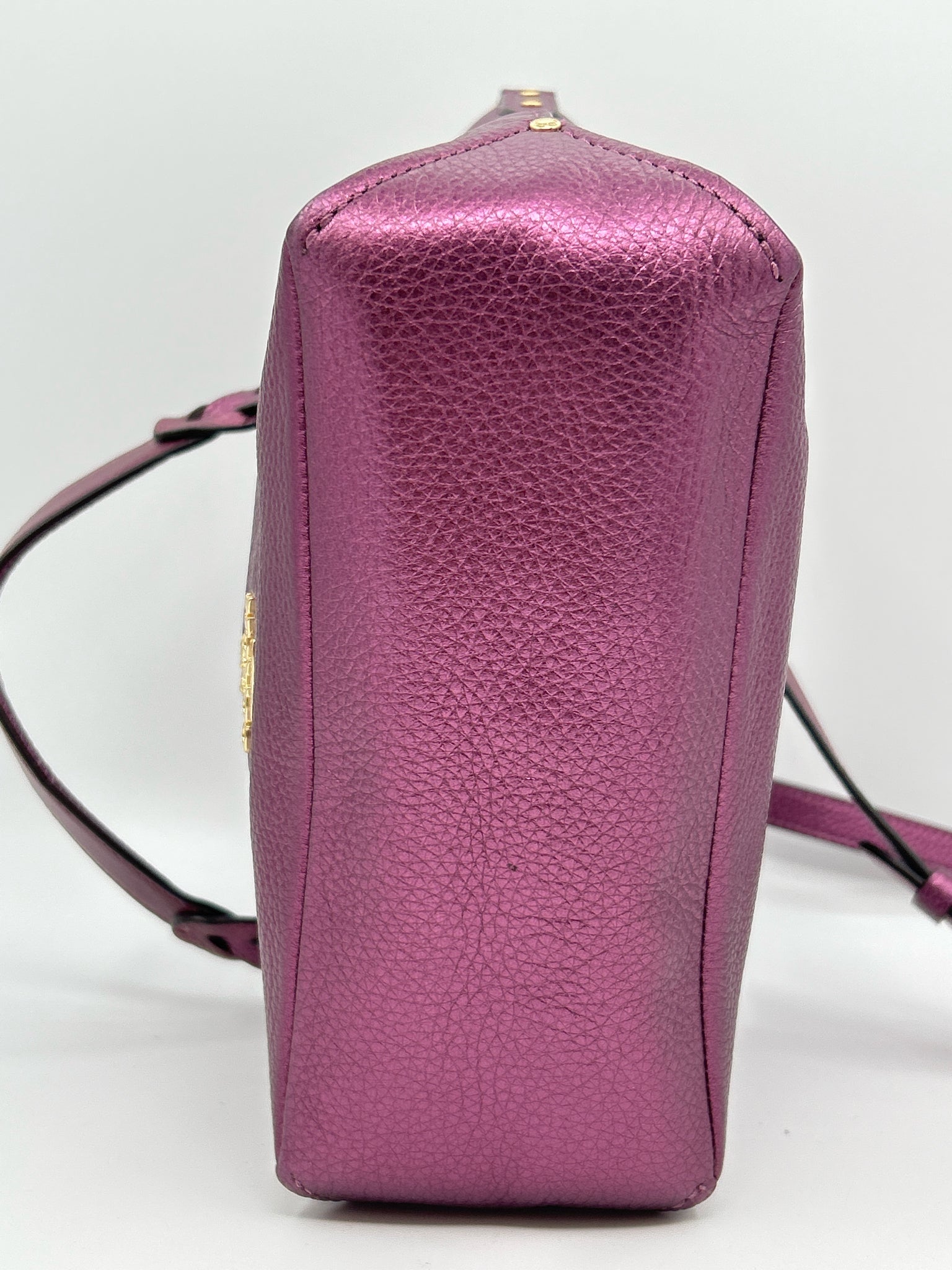 COACH Purple Women Purse