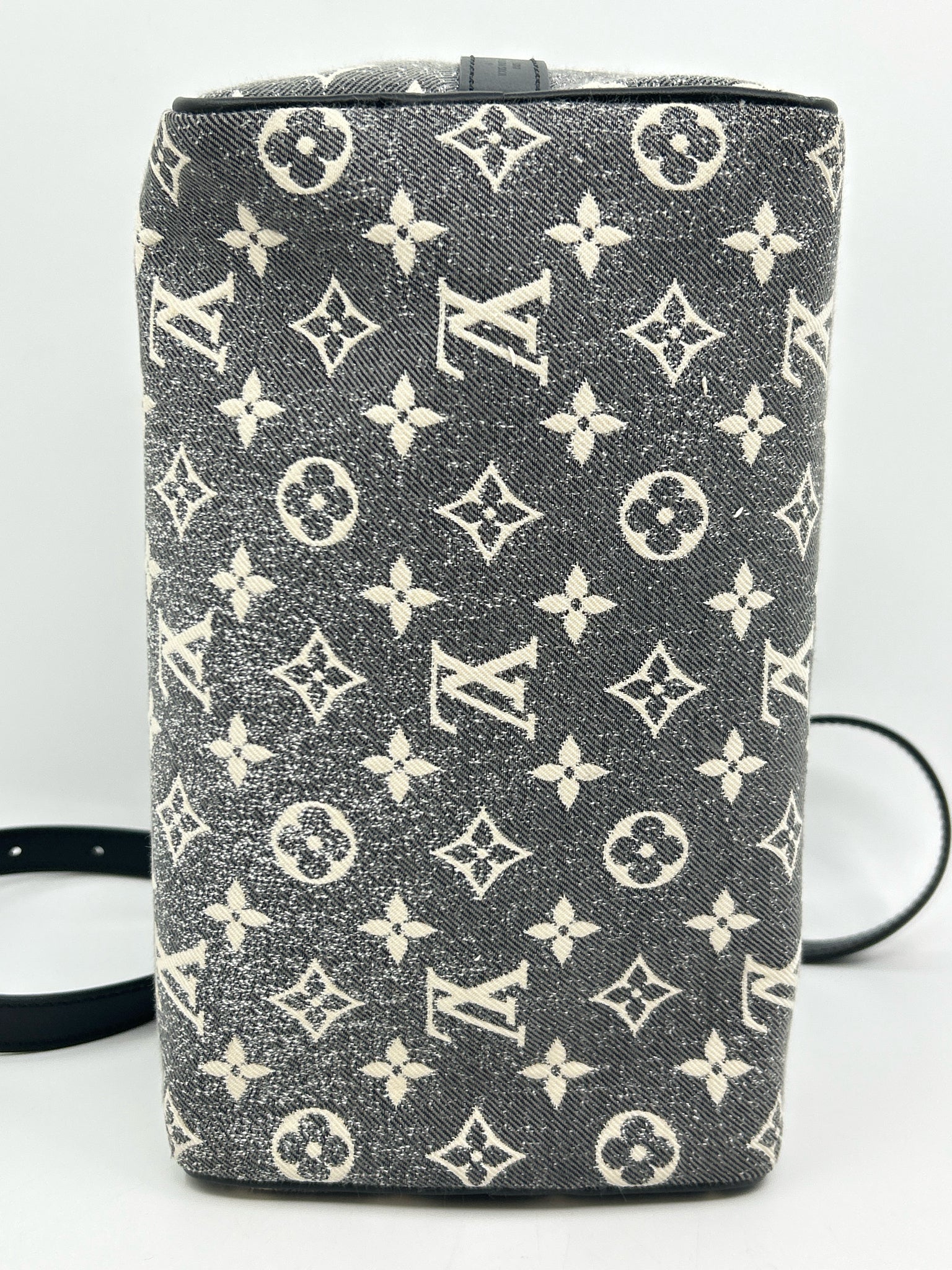 LOUIS VUITTON Black and White Women Purse