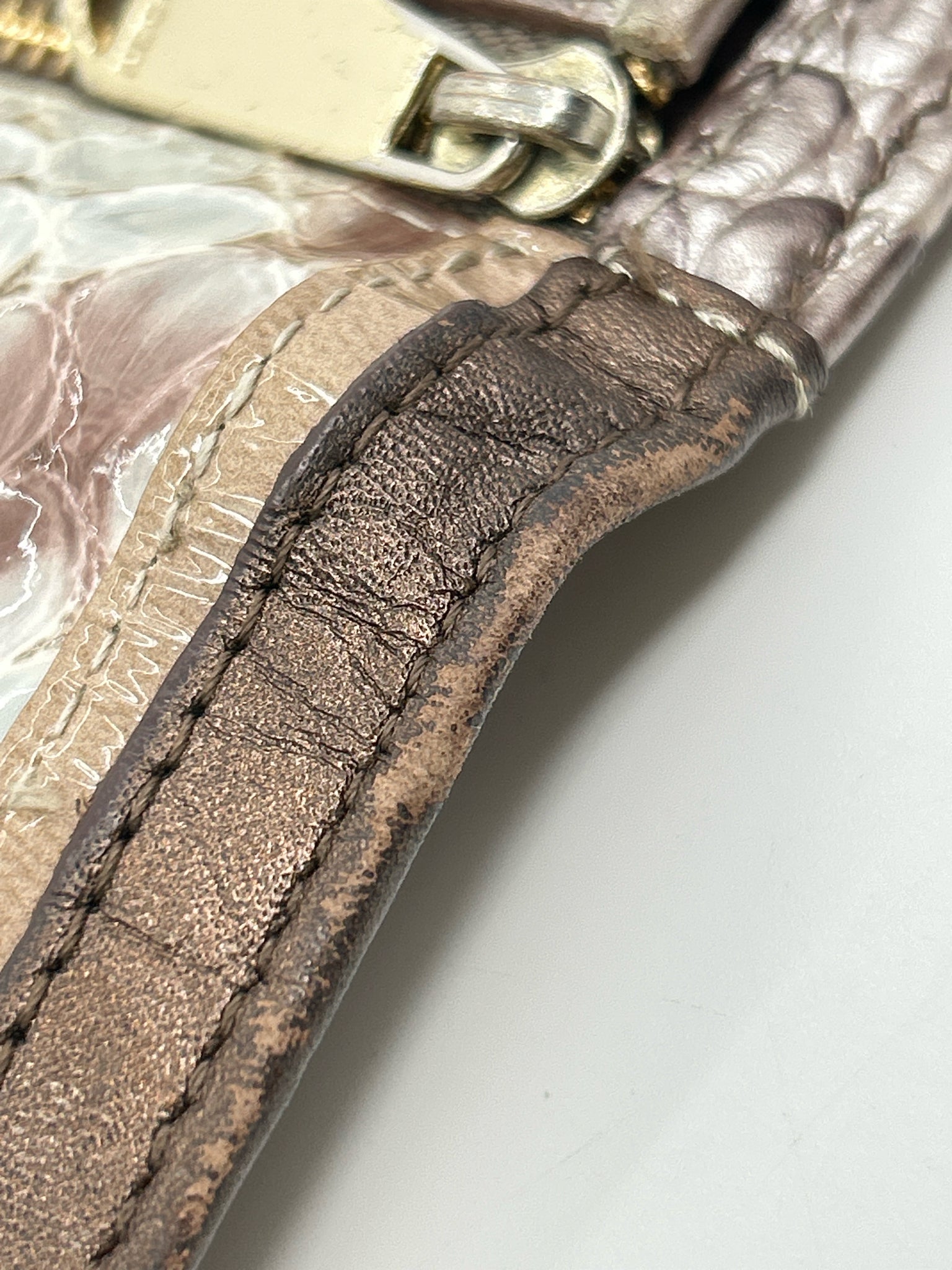 BRAHMIN BROWN AND BLUE Women Wallet