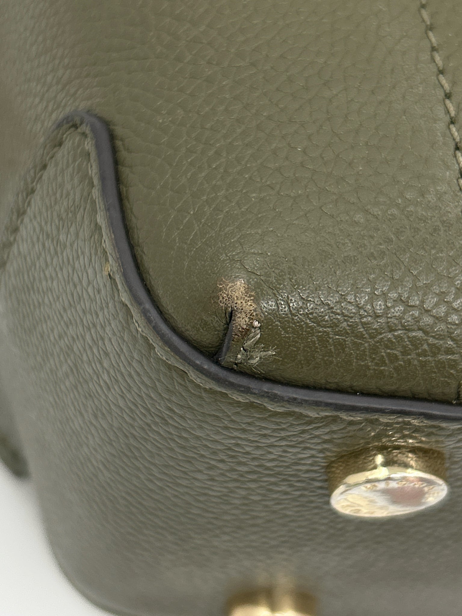 MICHAEL KORS OLIVE GREEN Women Backpack