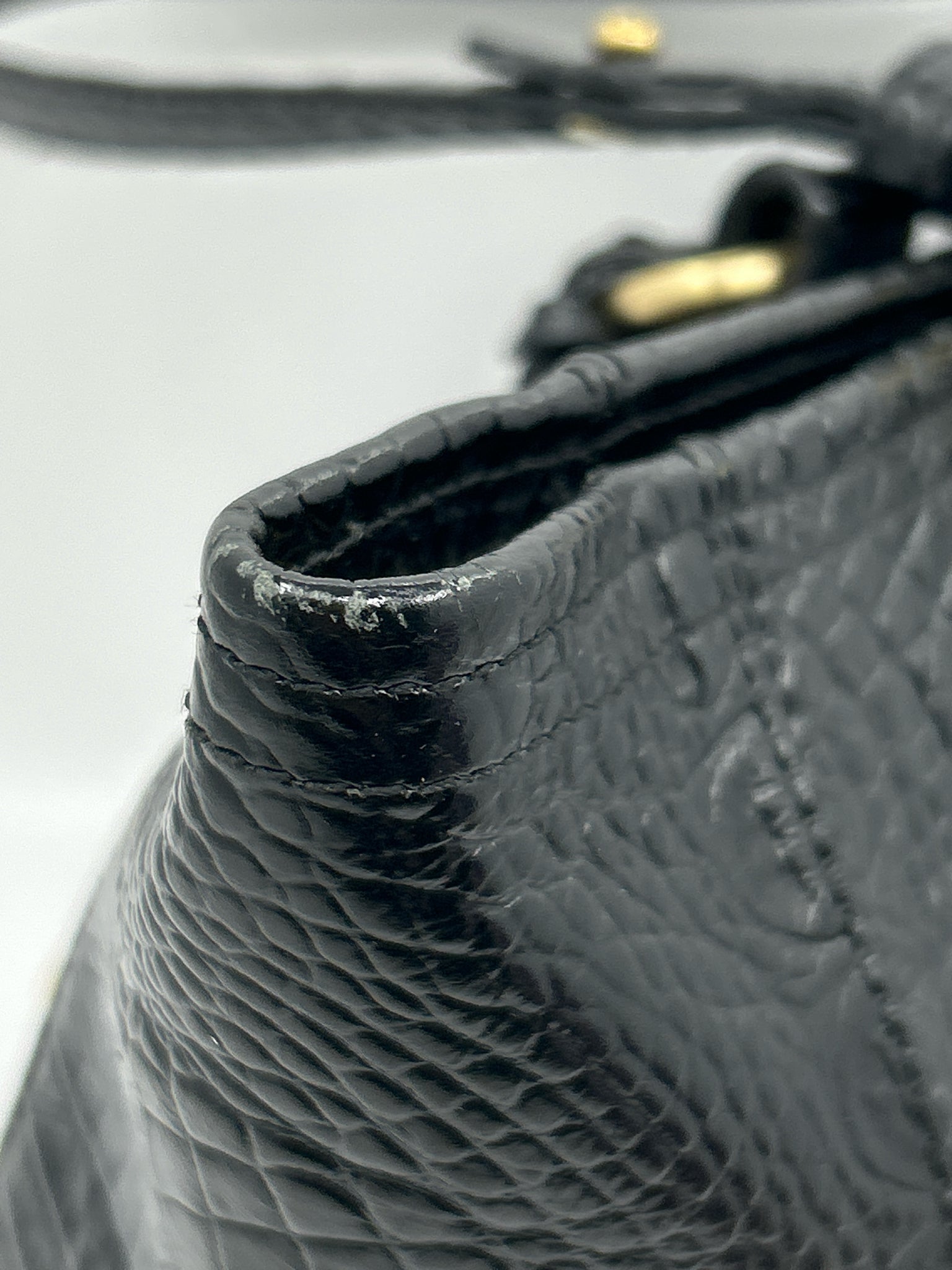 BRAHMIN Black Women Purse