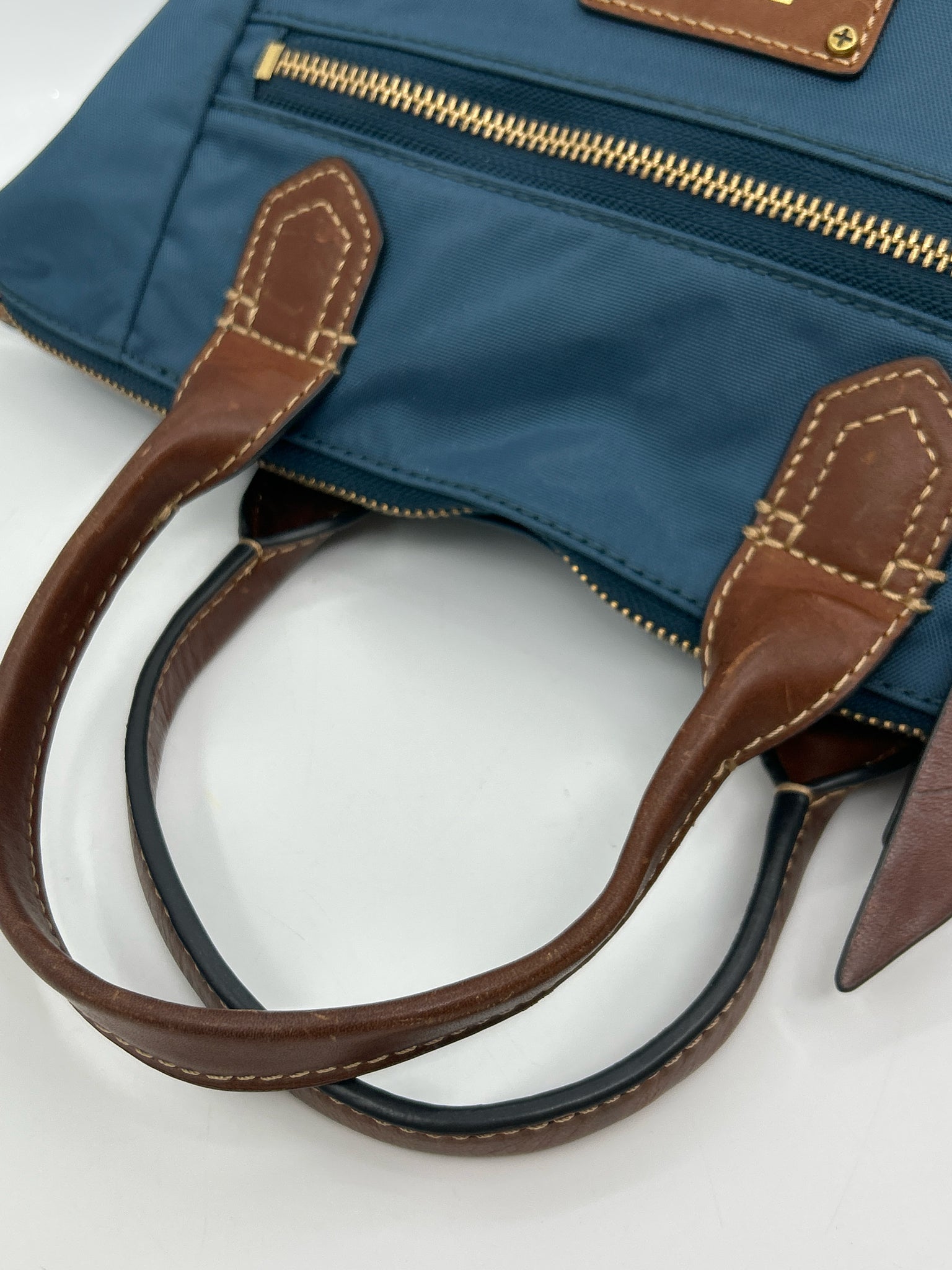 FRYE Blue and Brown Women Purse