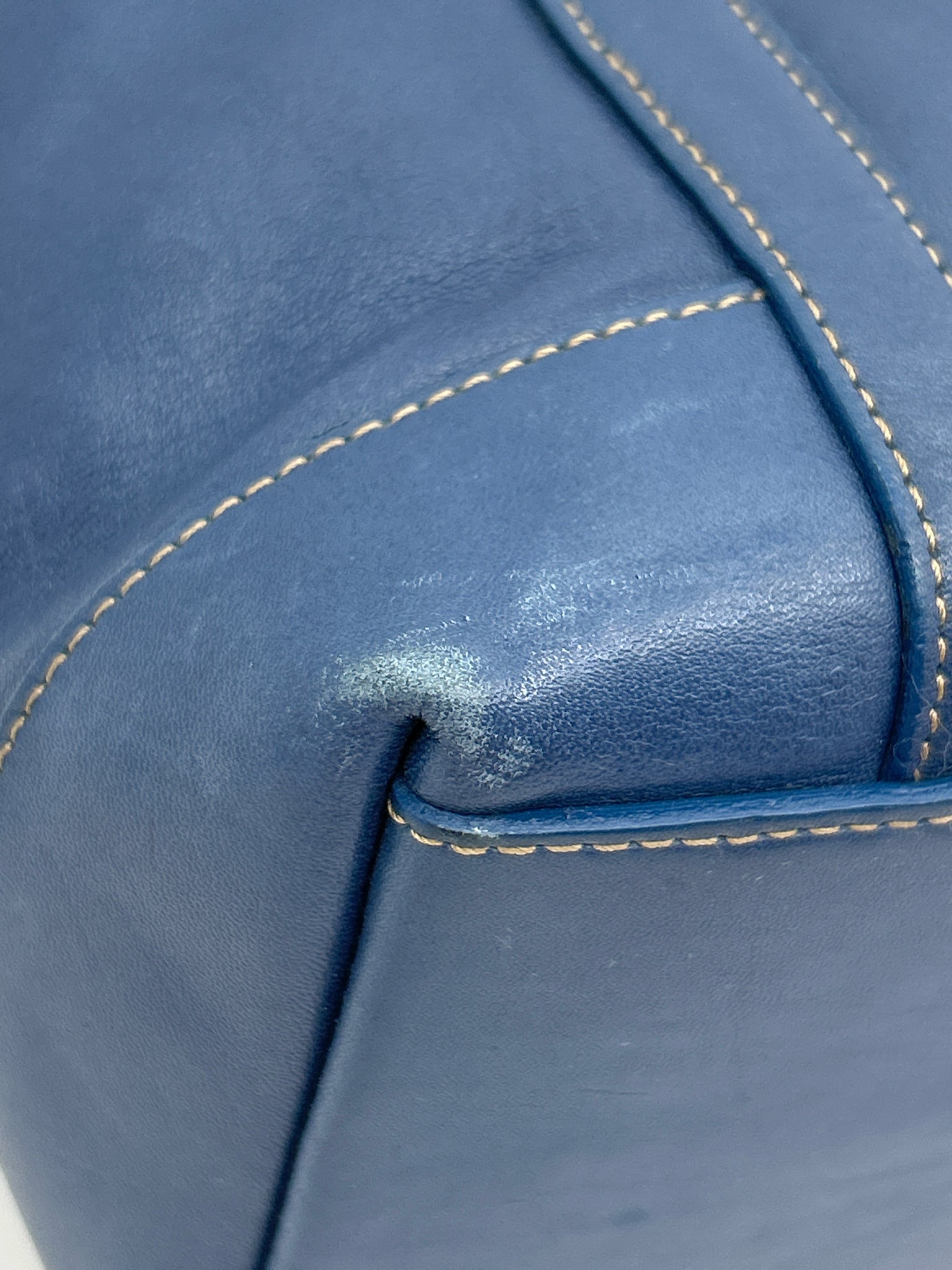 Coach Blue Women Tote