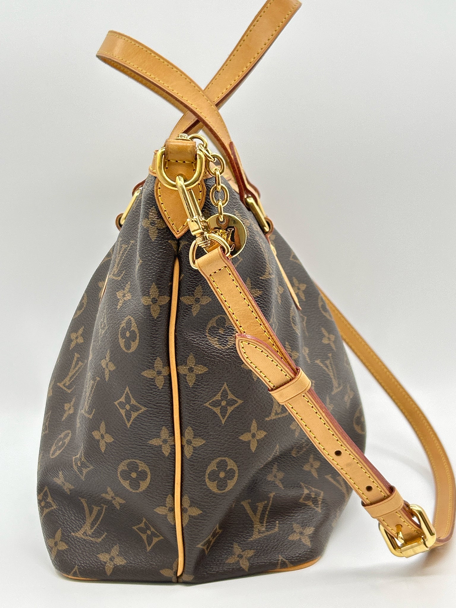 LOUIS VUITTON BROWN MONOGRAM Women Purse