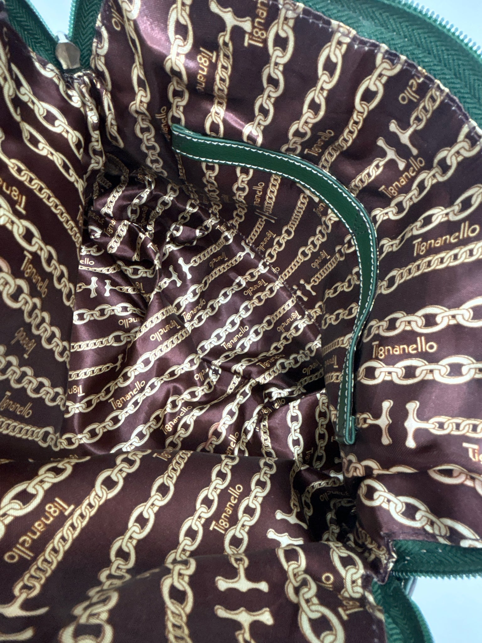 TIGNANELLO Green Women Purse