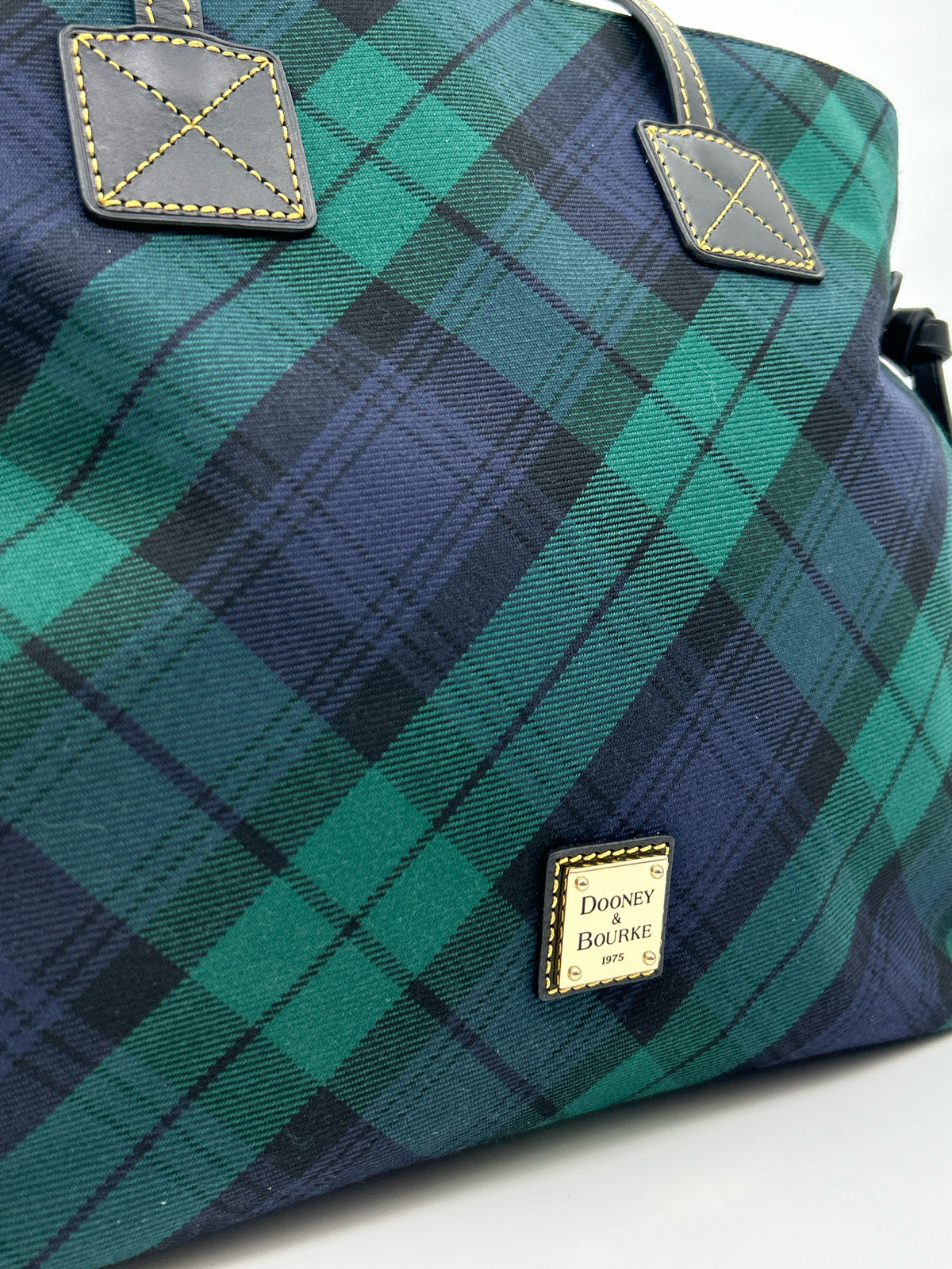 DOONEY & BOURKE Green and Blue Women Purse