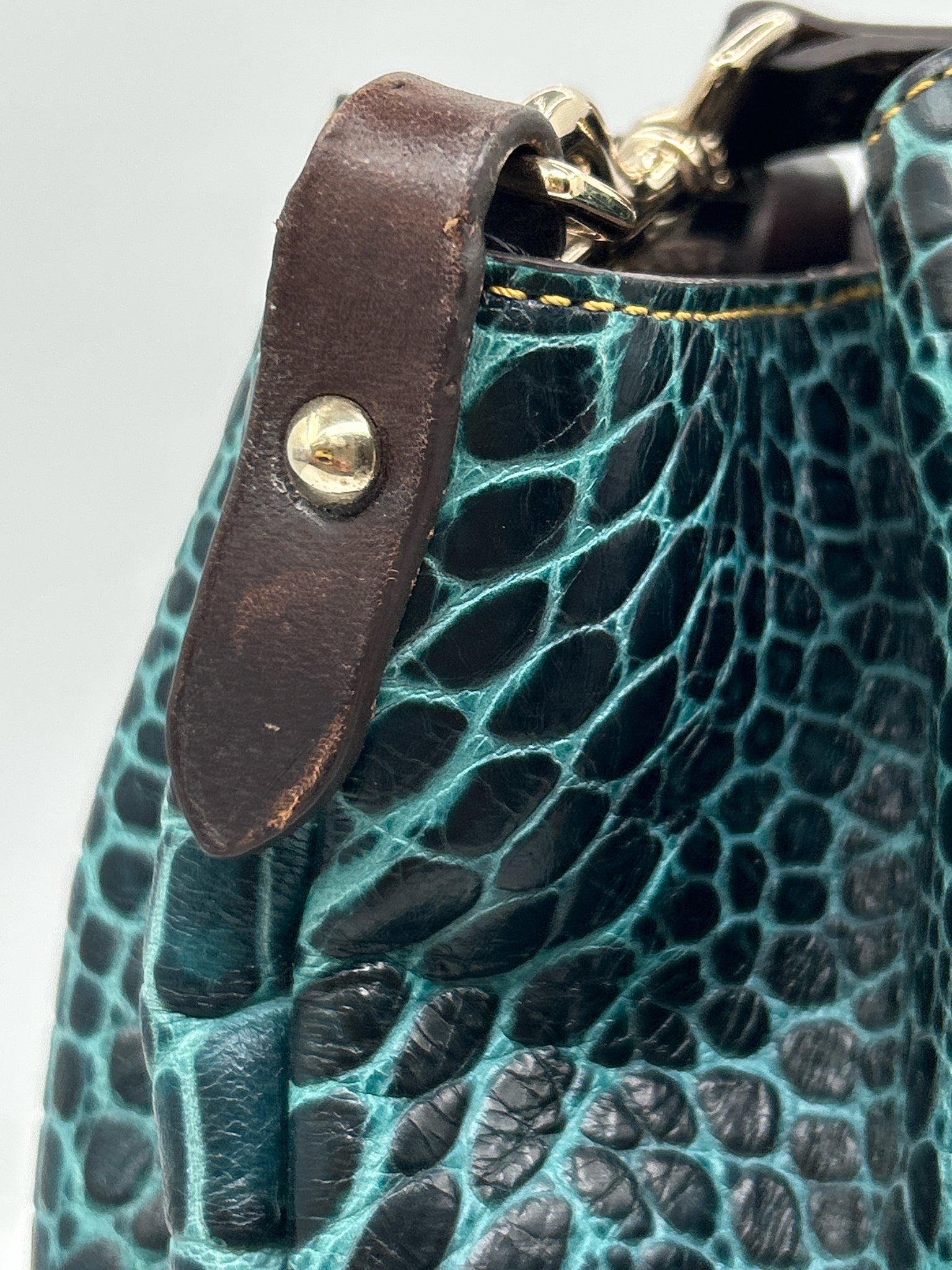 DOONEY & BOURKE TEAL AND BROWN Women Purse