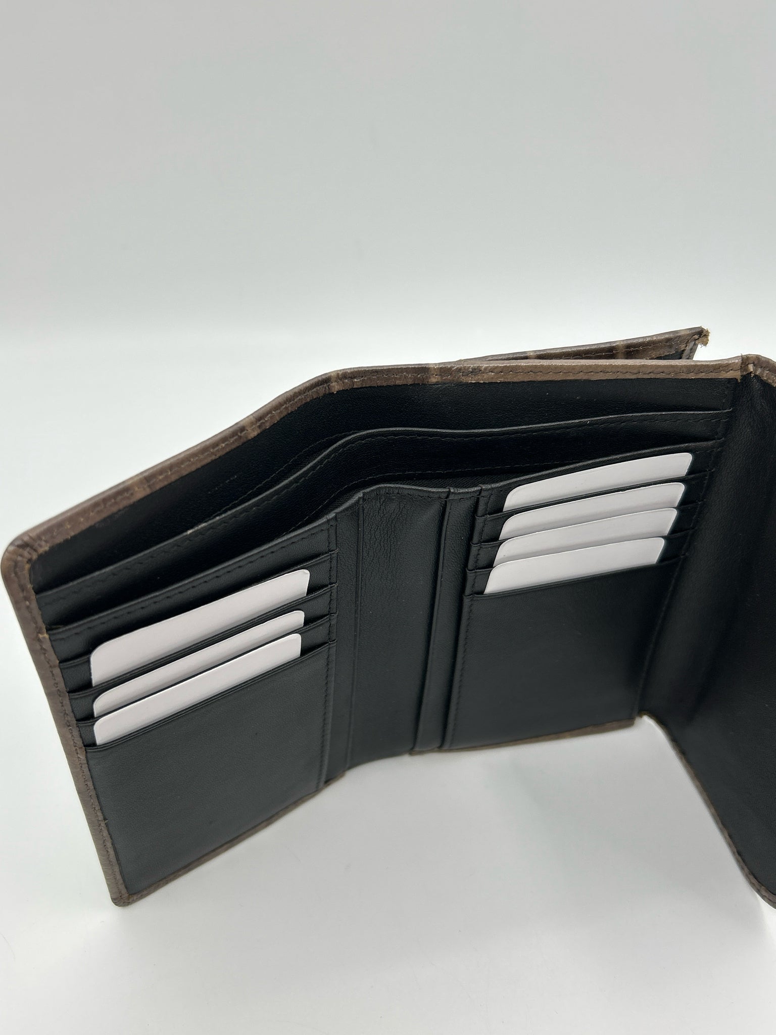 PLINIO VISONA Pewter Women Wallet