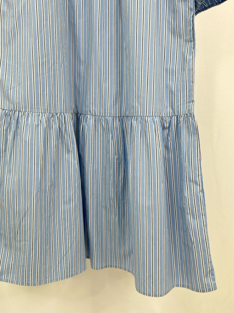QUINCE Size L Blue Striped Women's Dress NWT