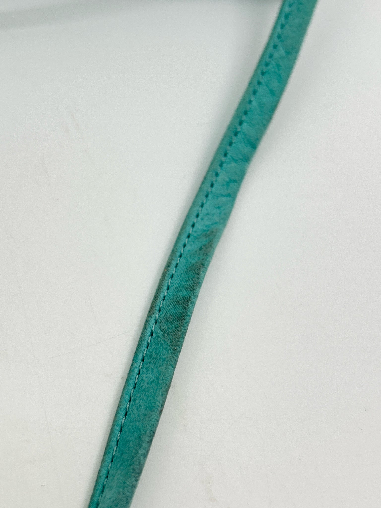 HOBO Turqouise Women Purse