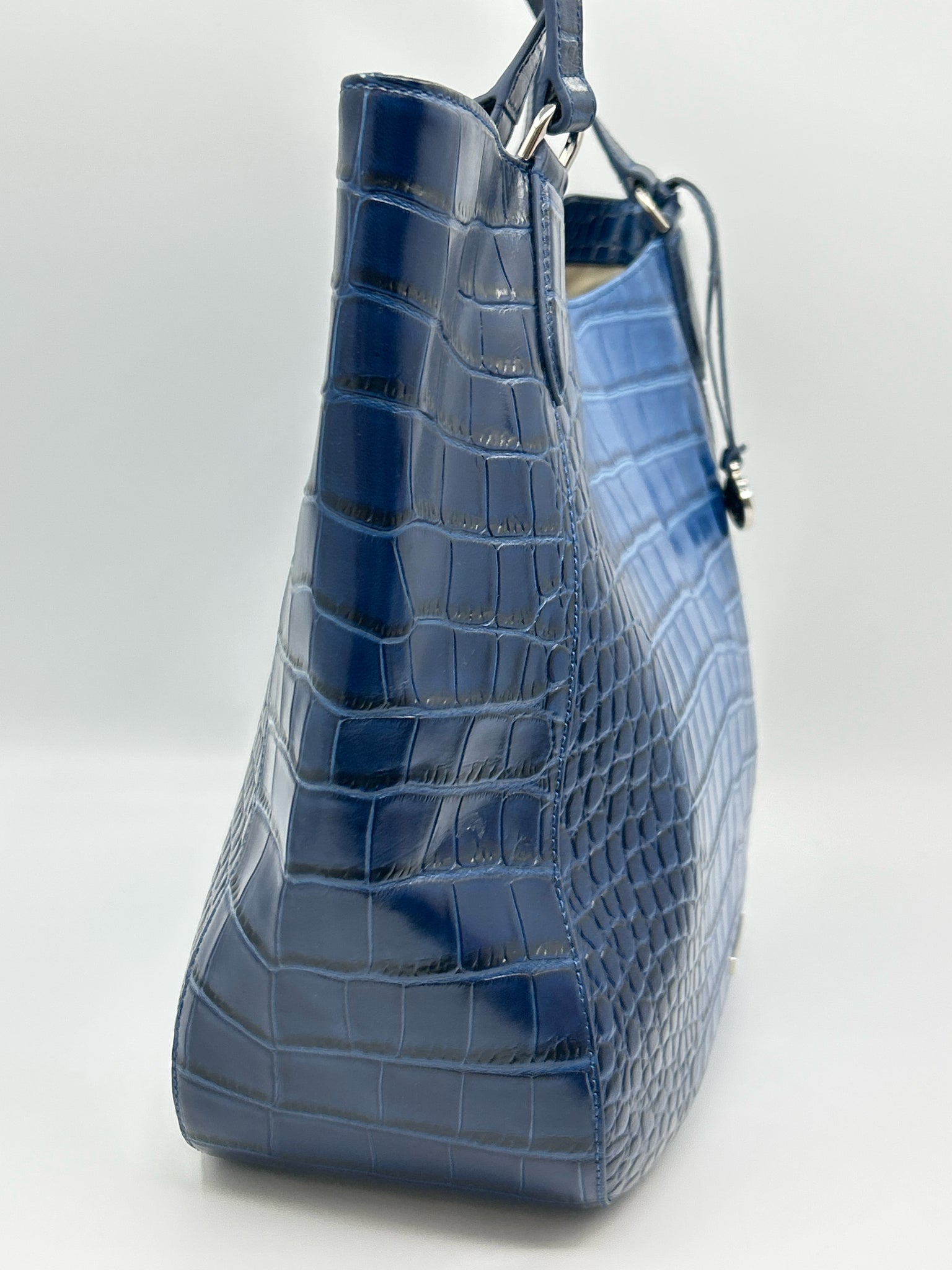 BRAHMIN Blue Women Purse