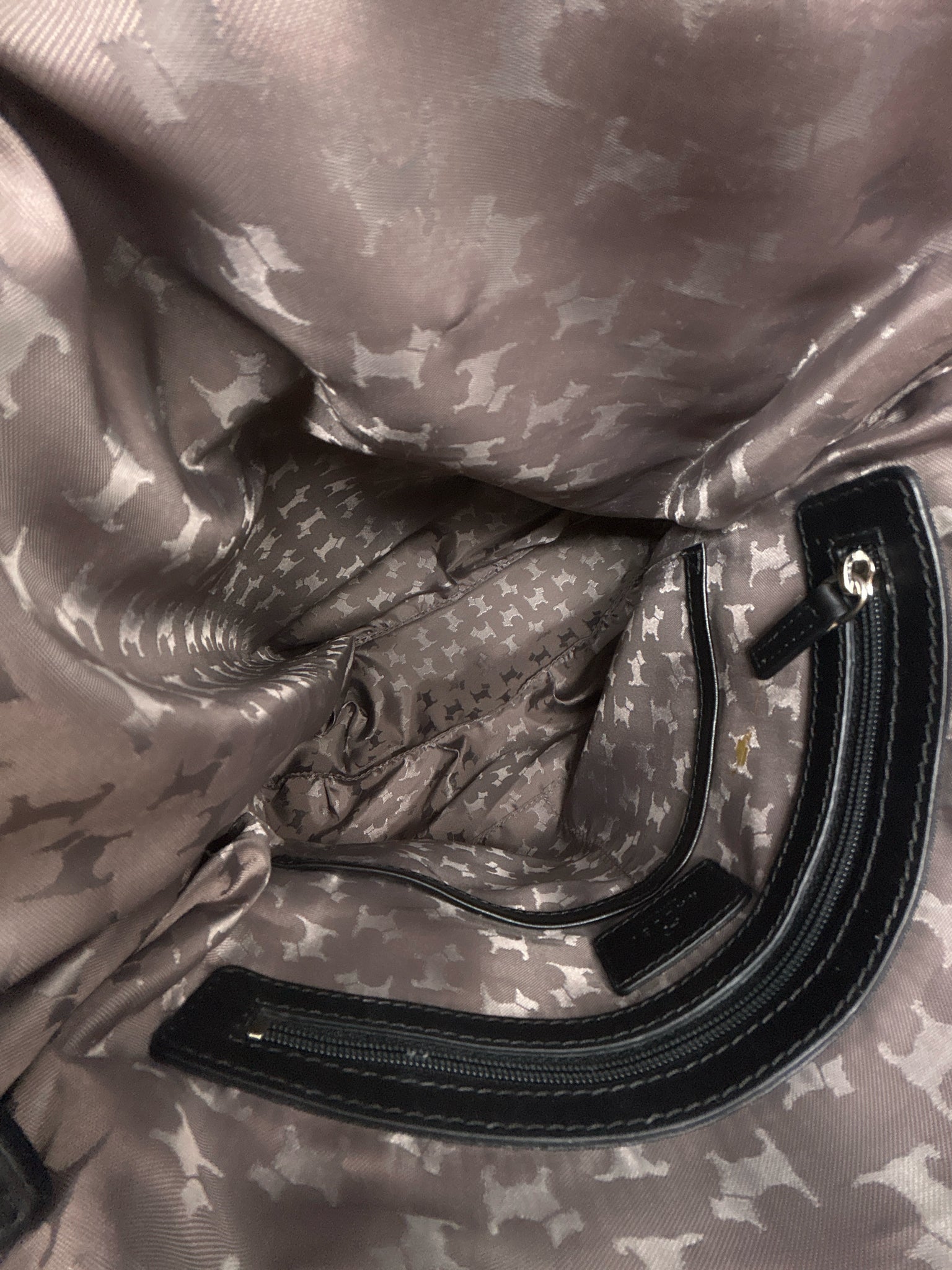 RADLEY Black Women Purse