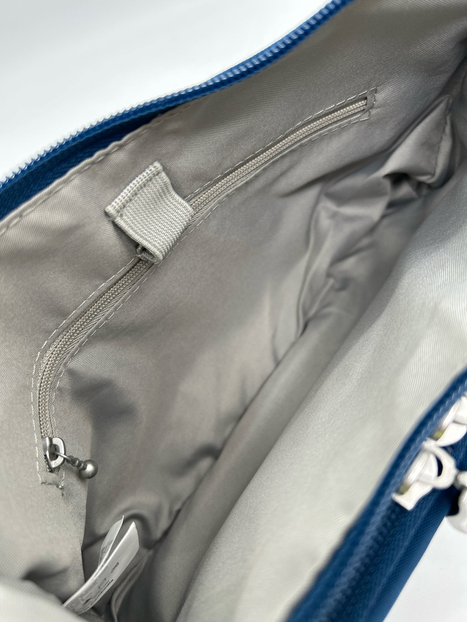 BAGGALLINI Blue Women Purse