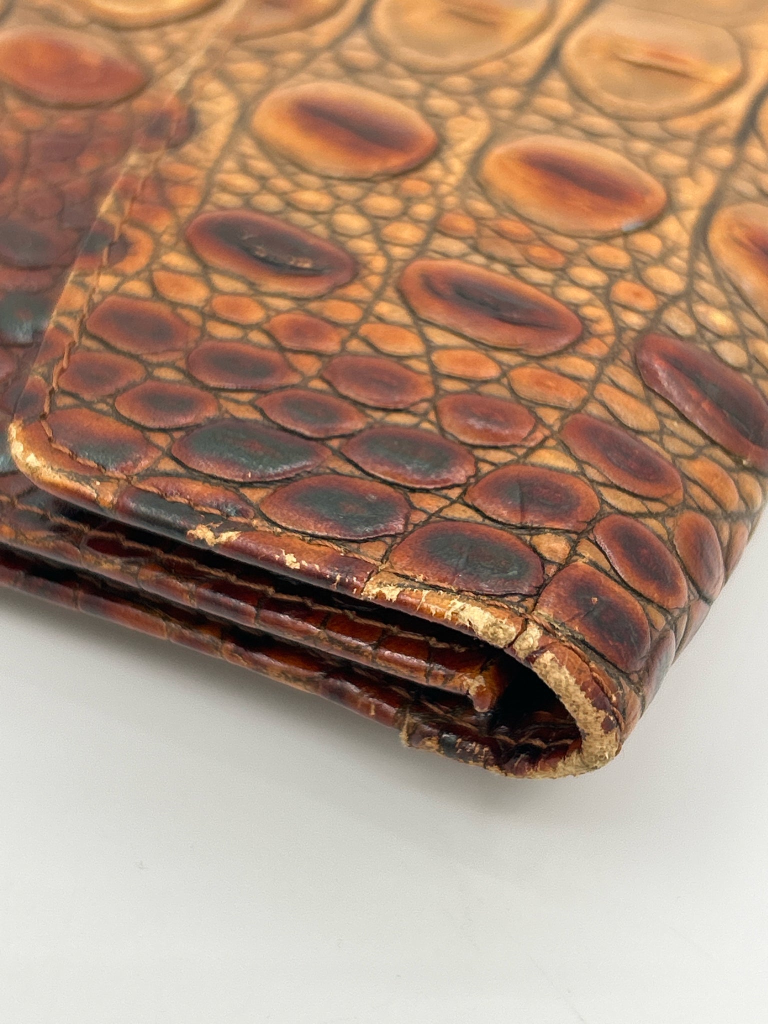 BRAHMIN Tan Women Wallet