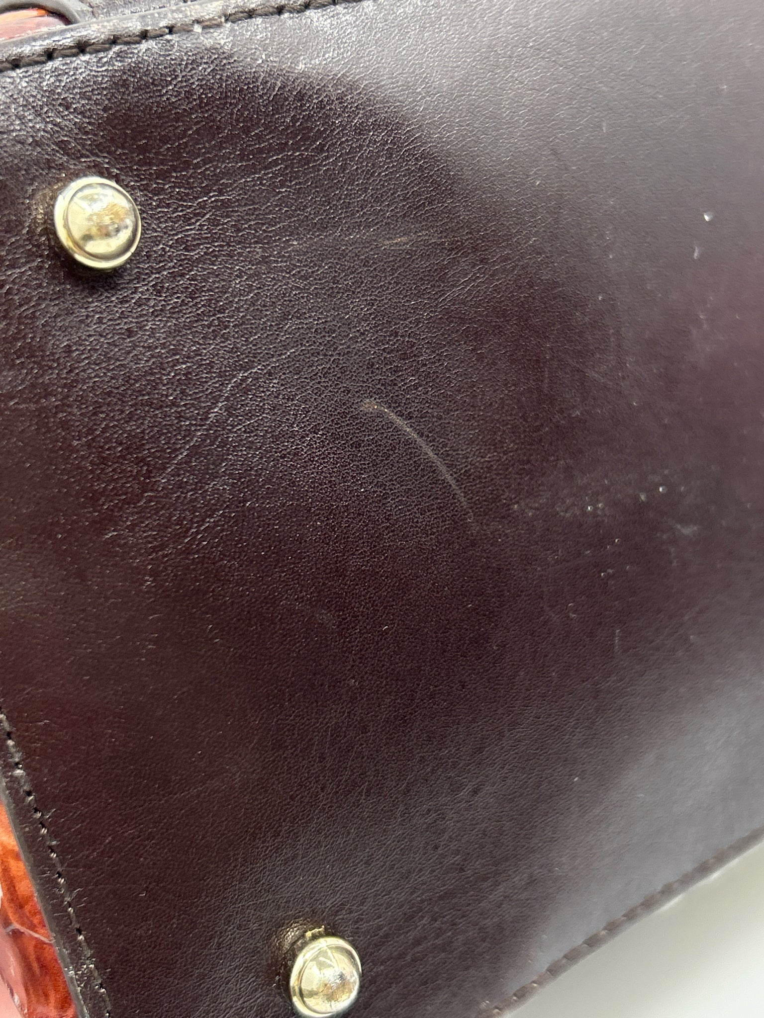 BRAHMIN Pecan and Green Women Purse